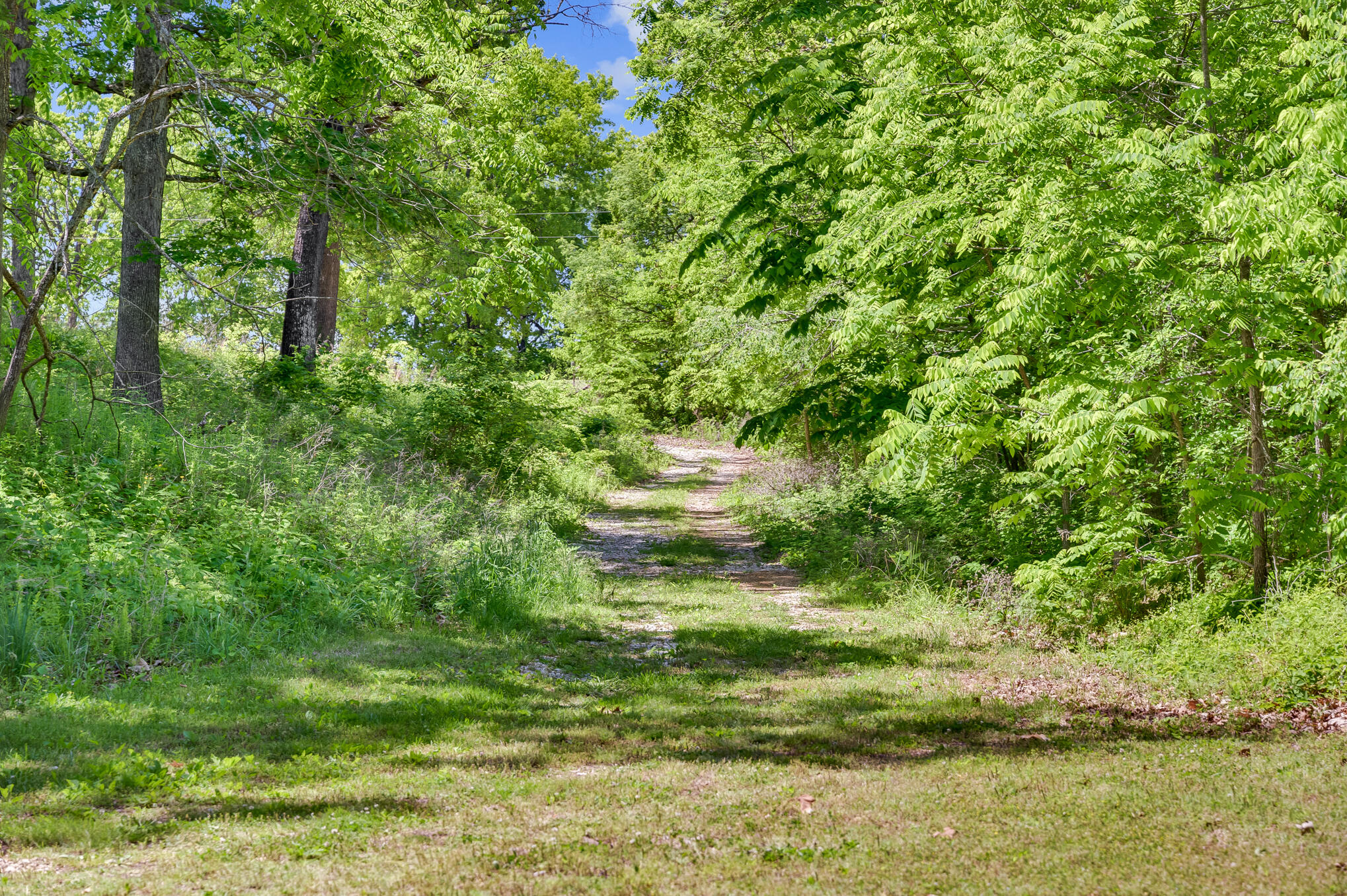 Photo 46 - Residential for sale – 6004  Kentucky Road  Neosho, MO