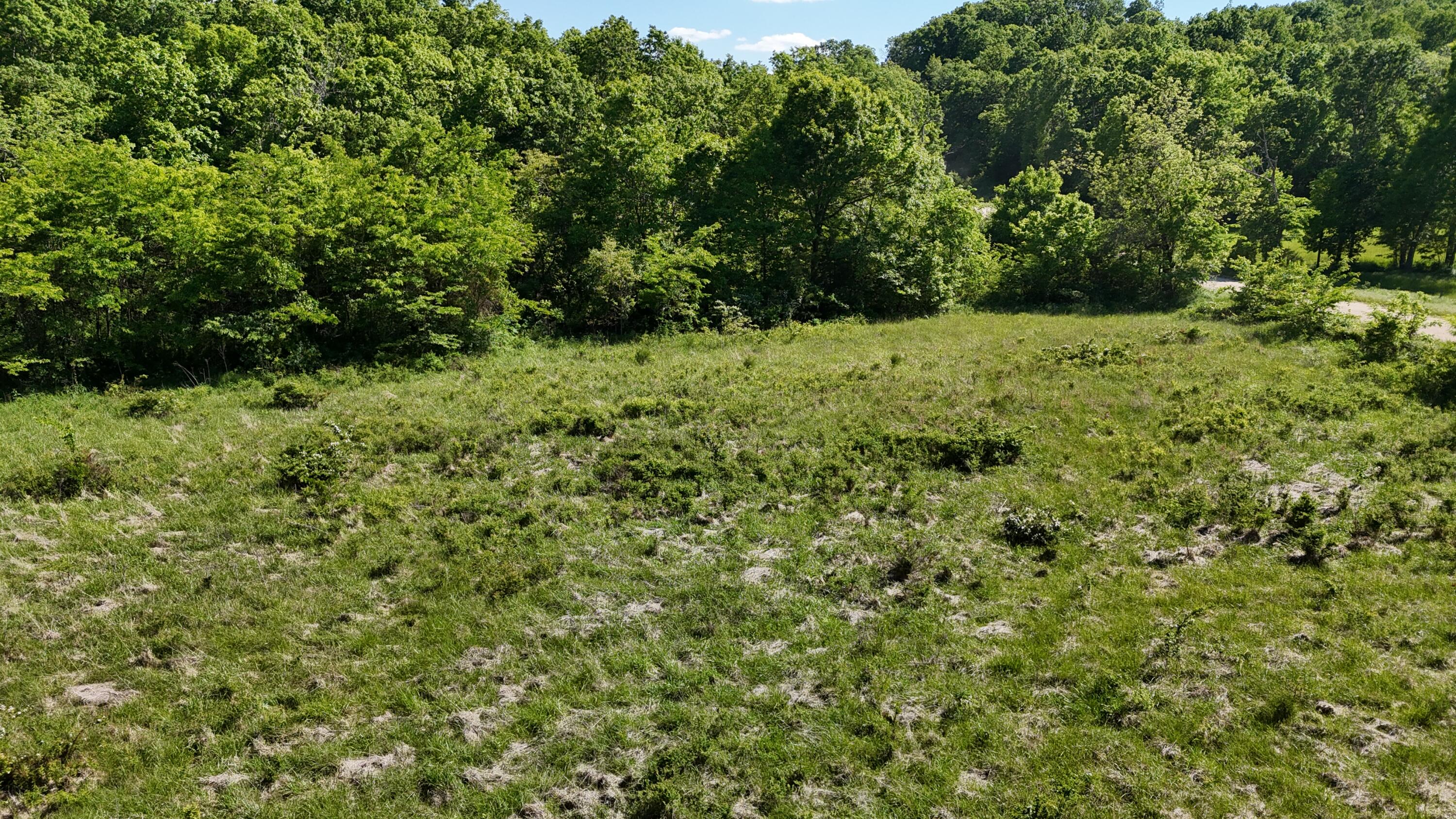 Photo 23 - Residential for sale – 200  Flint Hollow Road  Seymour, MO