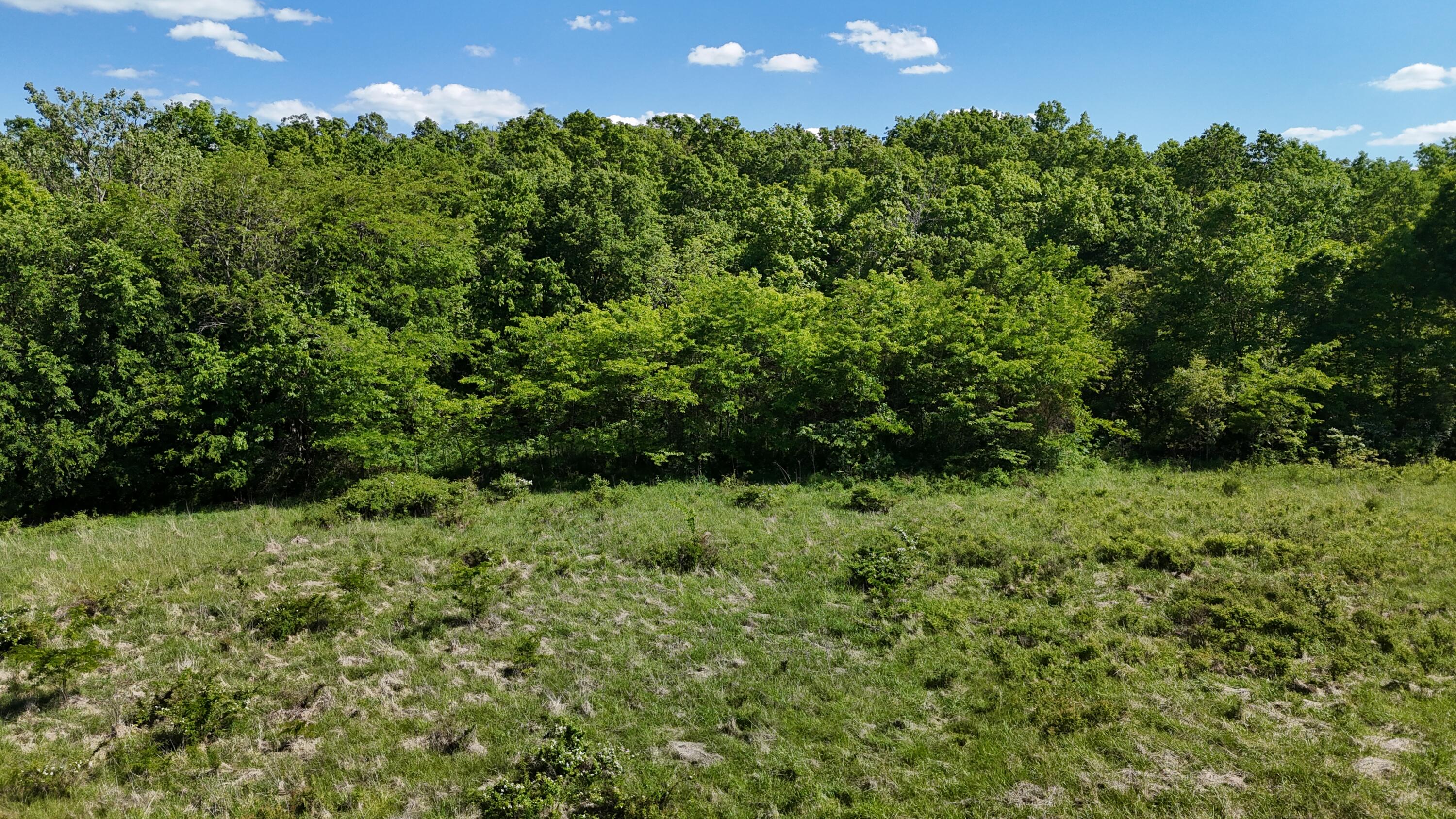 Photo 24 - Residential for sale – 200  Flint Hollow Road  Seymour, MO
