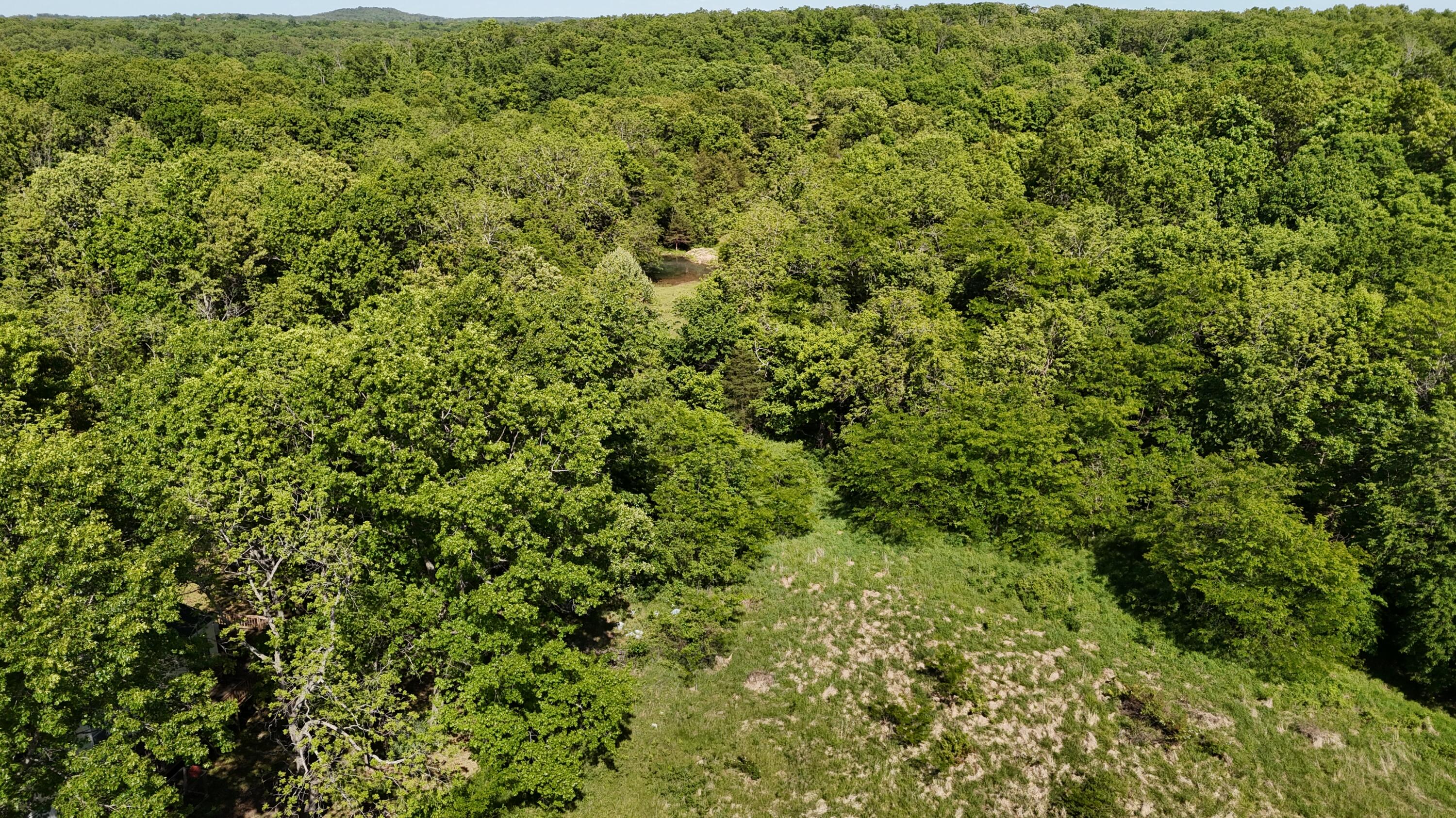 Photo 27 - Residential for sale – 200  Flint Hollow Road  Seymour, MO