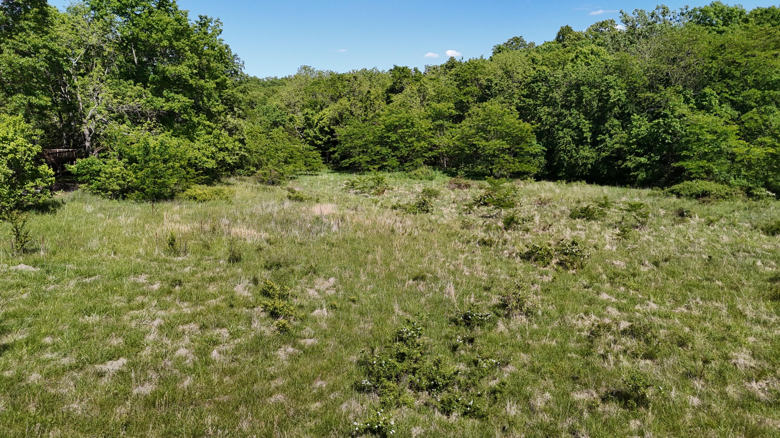 Photo 14 - Residential for sale – 200  Flint Hollow Road  Seymour, MO