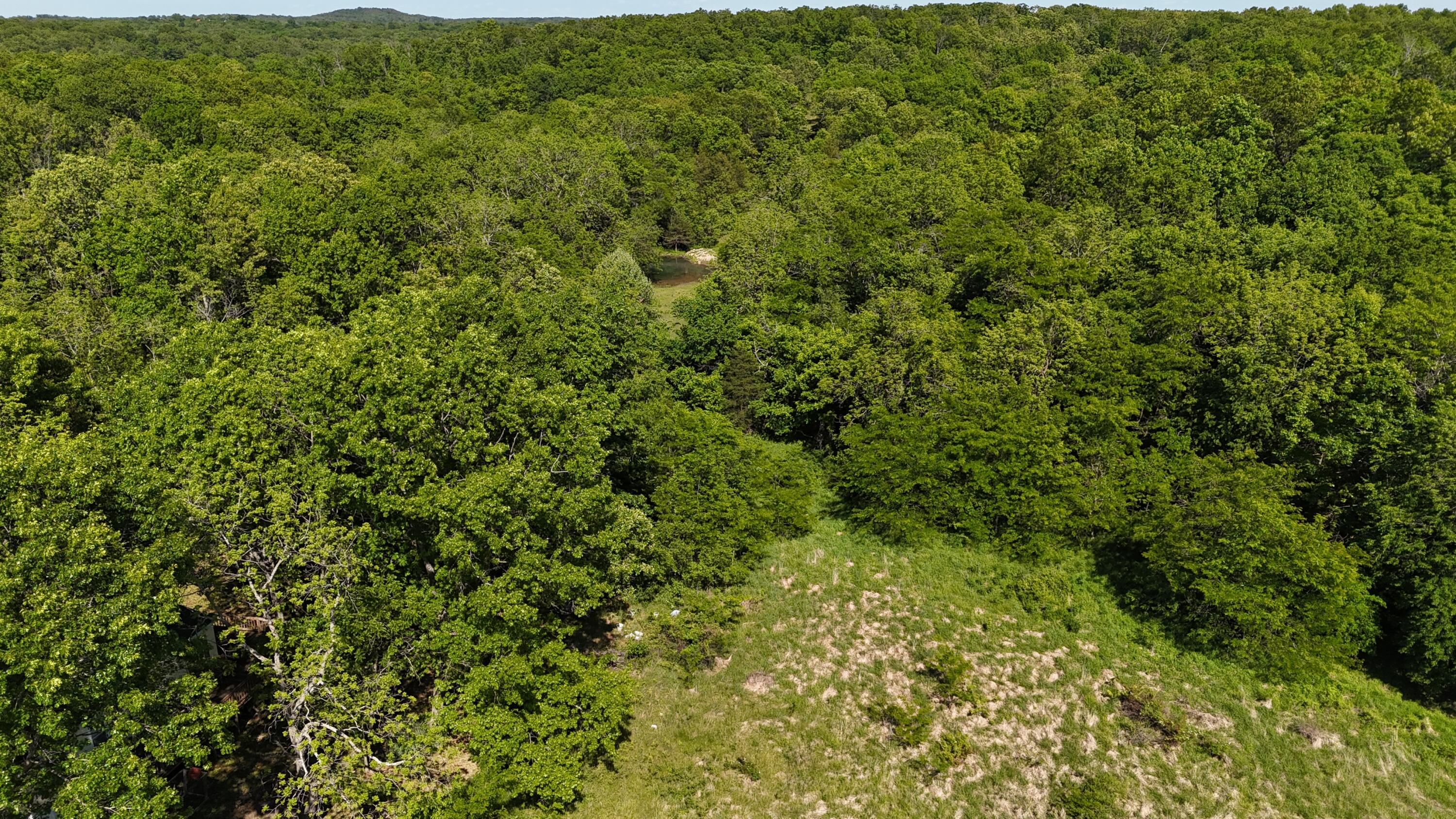 Photo 28 - Residential for sale – 200  Flint Hollow Road  Seymour, MO