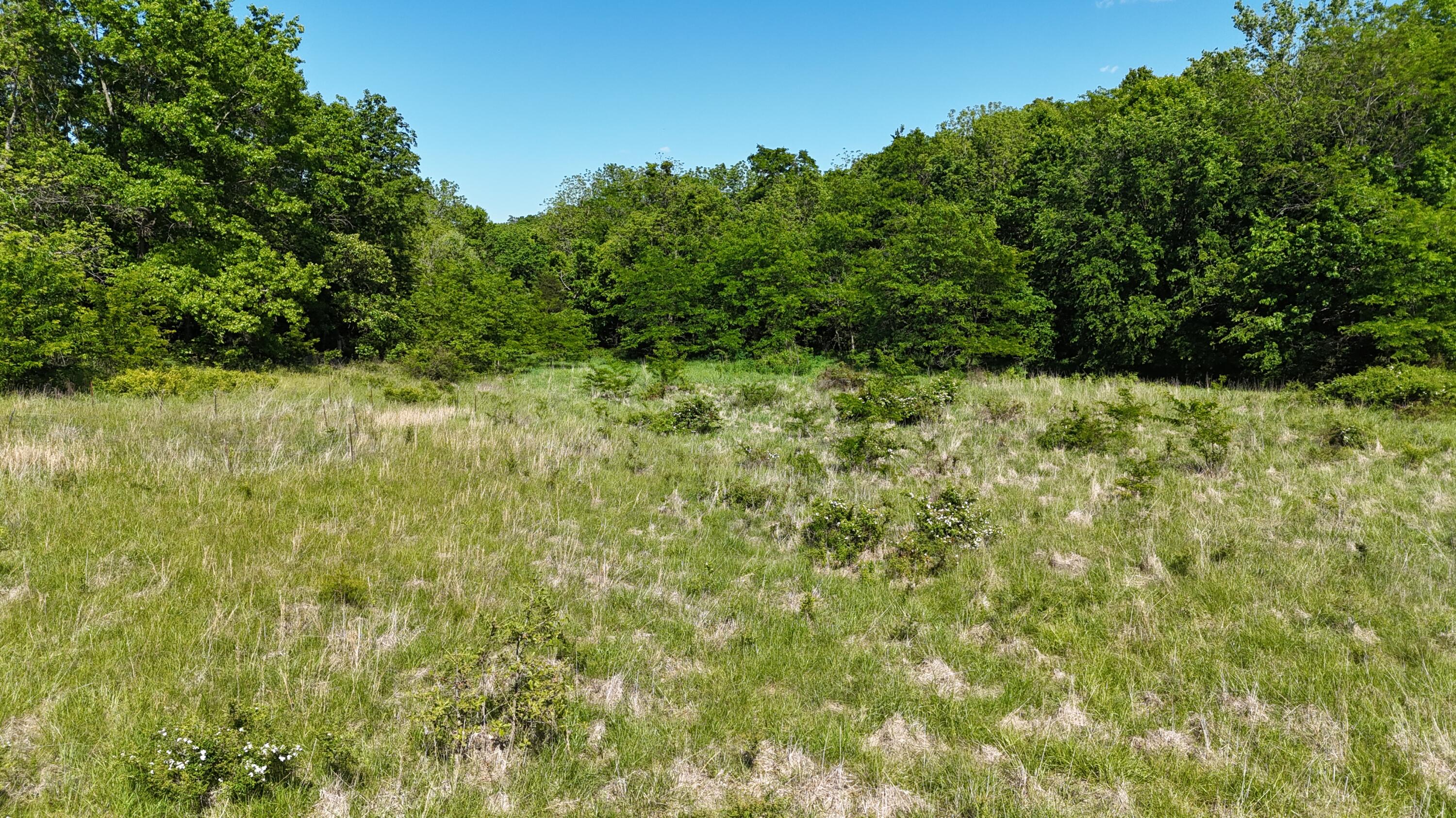 Photo 20 - Residential for sale – 200  Flint Hollow Road  Seymour, MO