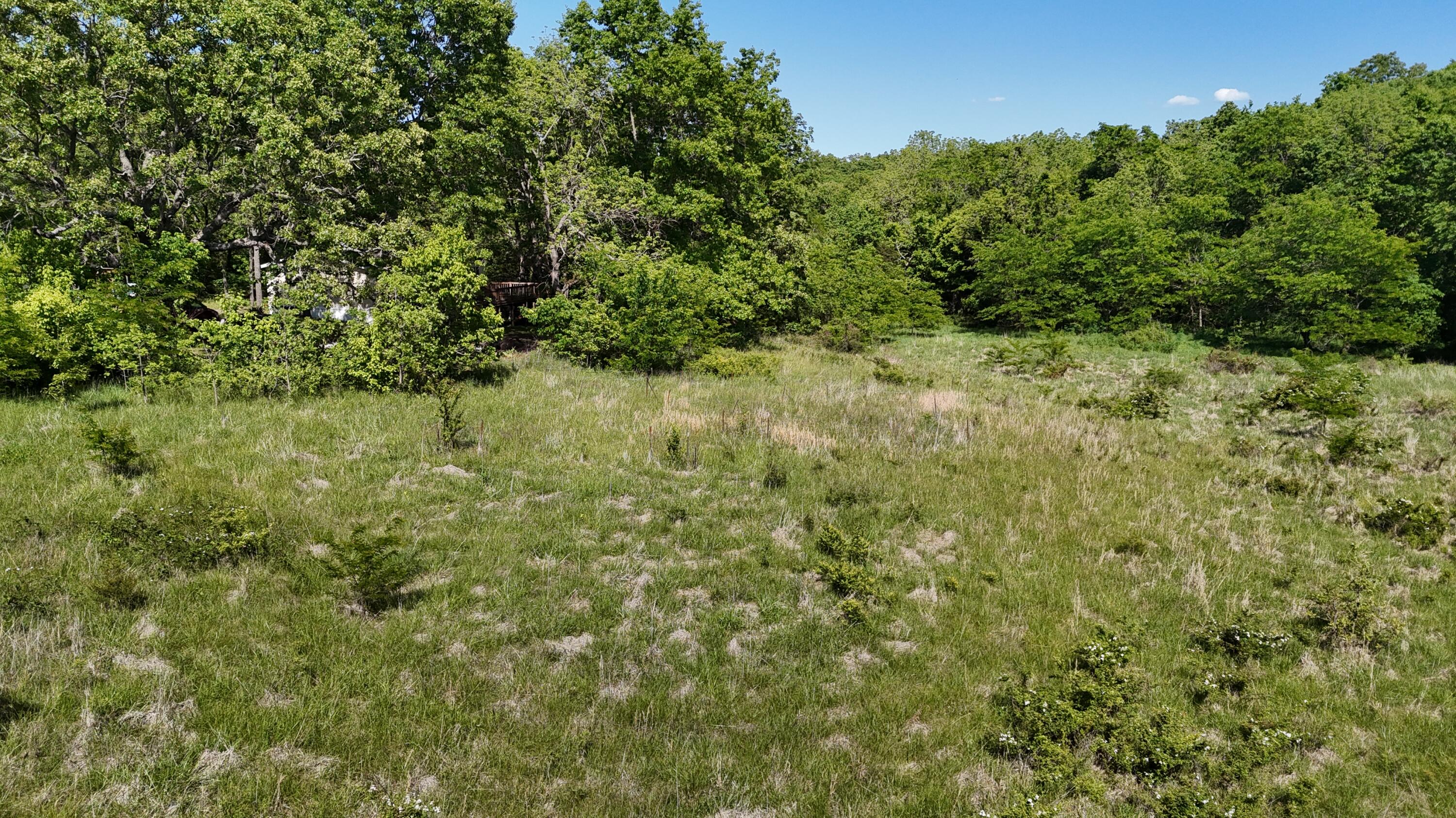 Photo 13 - Residential for sale – 200  Flint Hollow Road  Seymour, MO