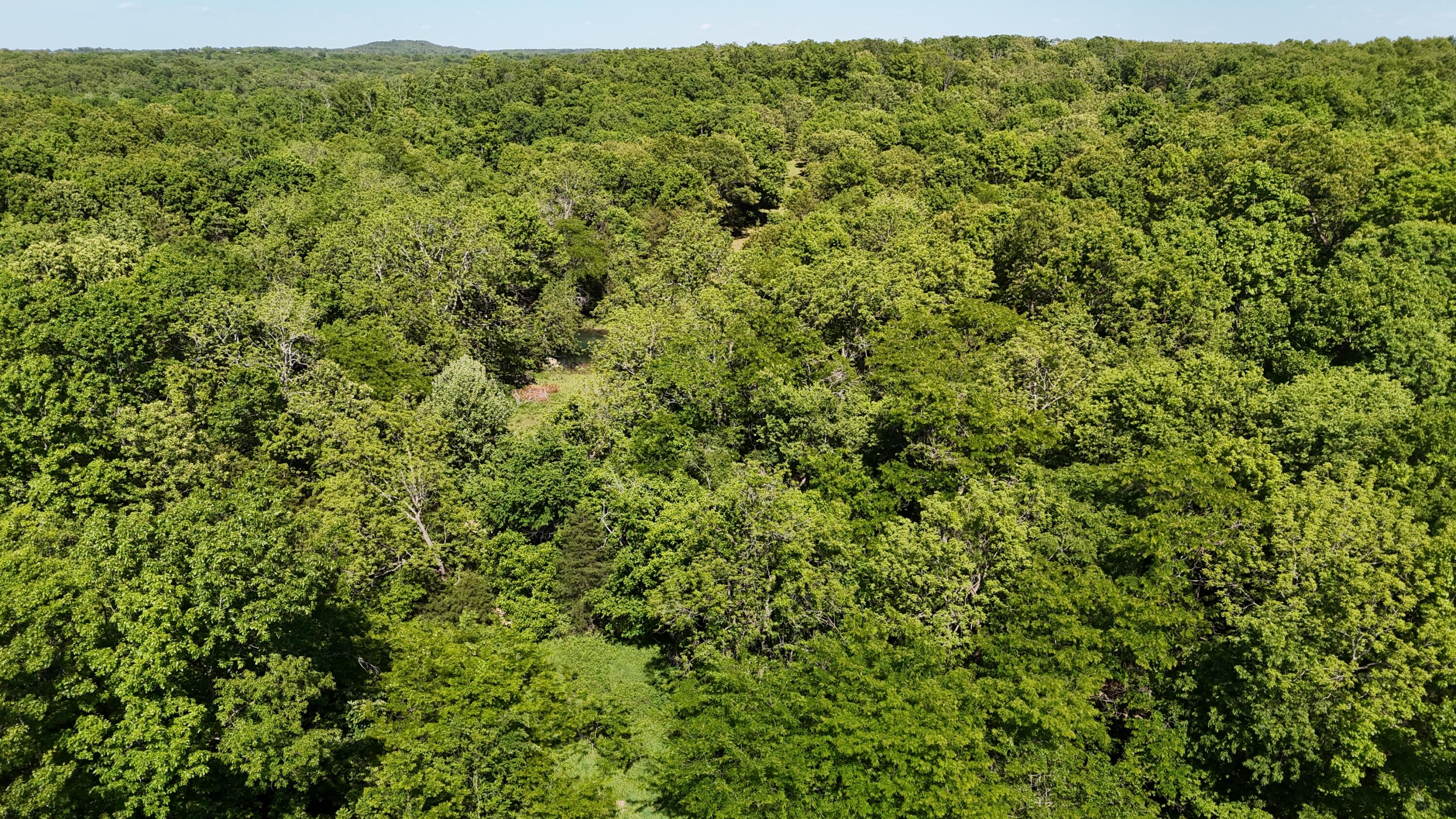 Photo 16 - Residential for sale – 200  Flint Hollow Road  Seymour, MO