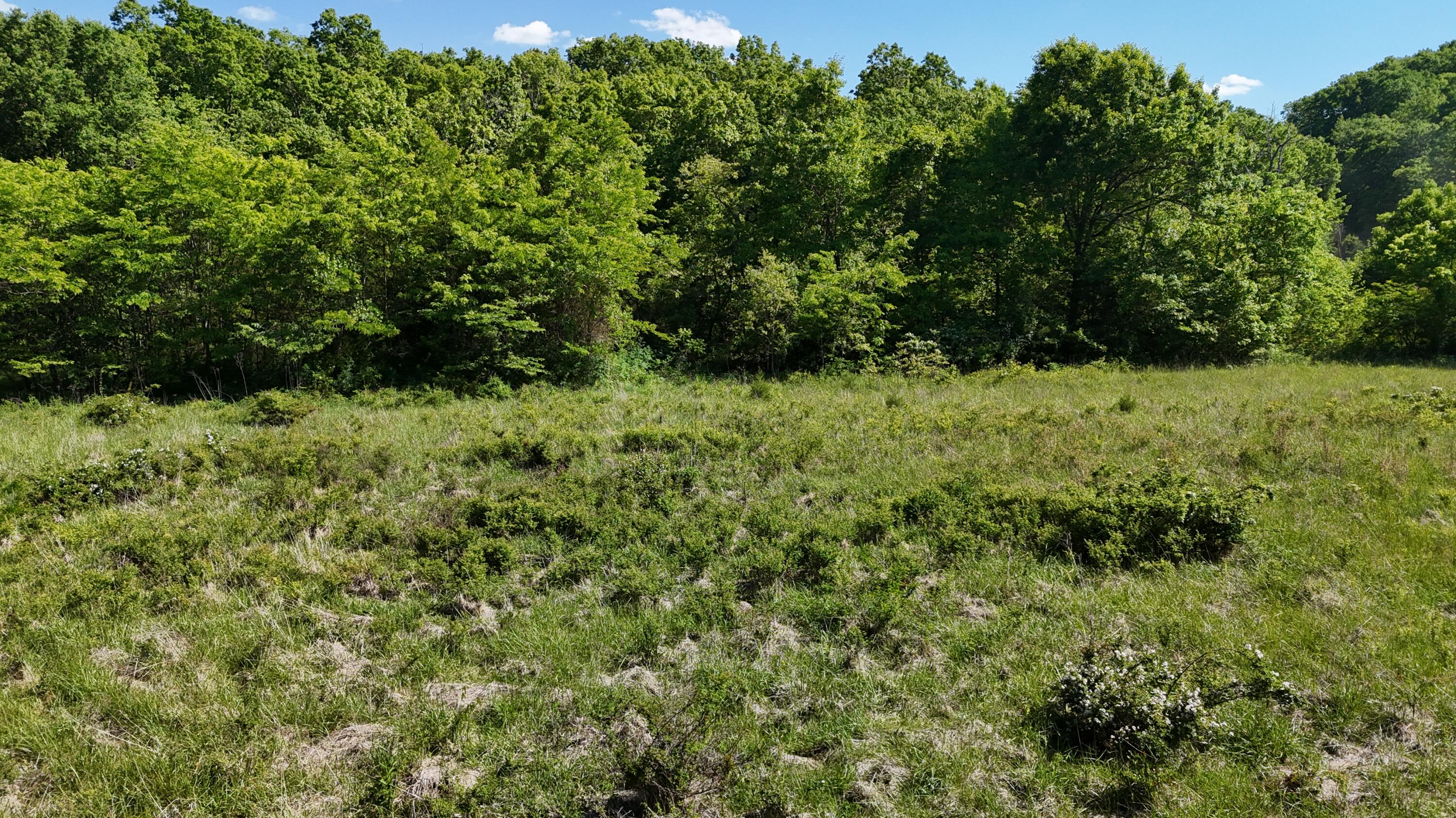 Photo 21 - Residential for sale – 200  Flint Hollow Road  Seymour, MO