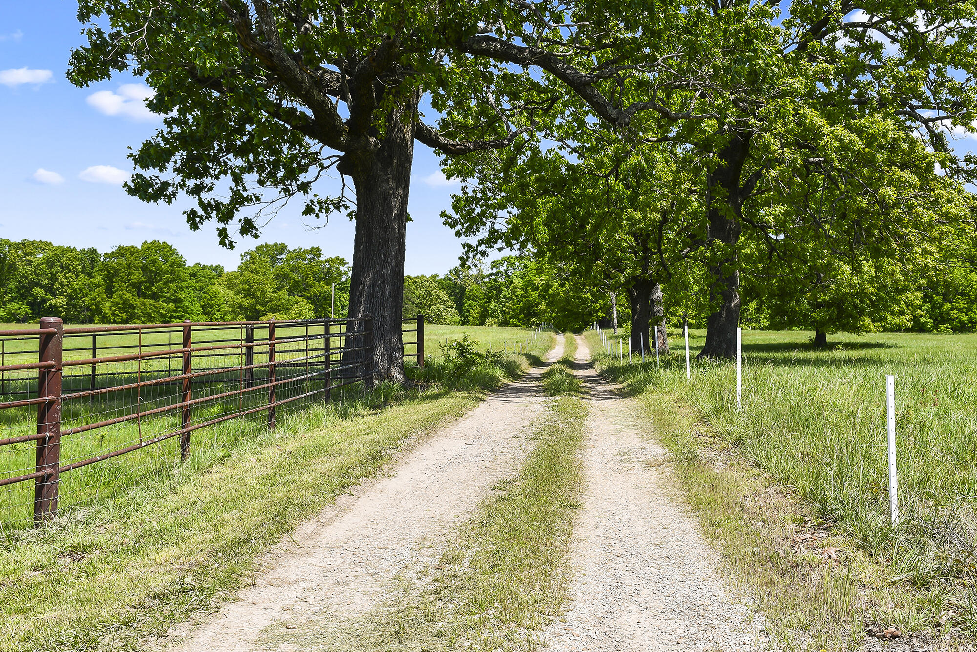 Photo 99 - Farm for sale – 1903  State Highway Ac   Niangua, MO