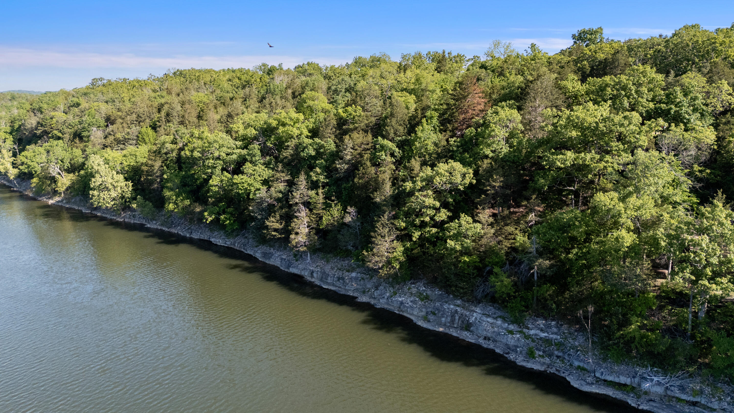 Photo 10 - Land for sale – 18679  Private Road 2261   Eagle Rock, MO