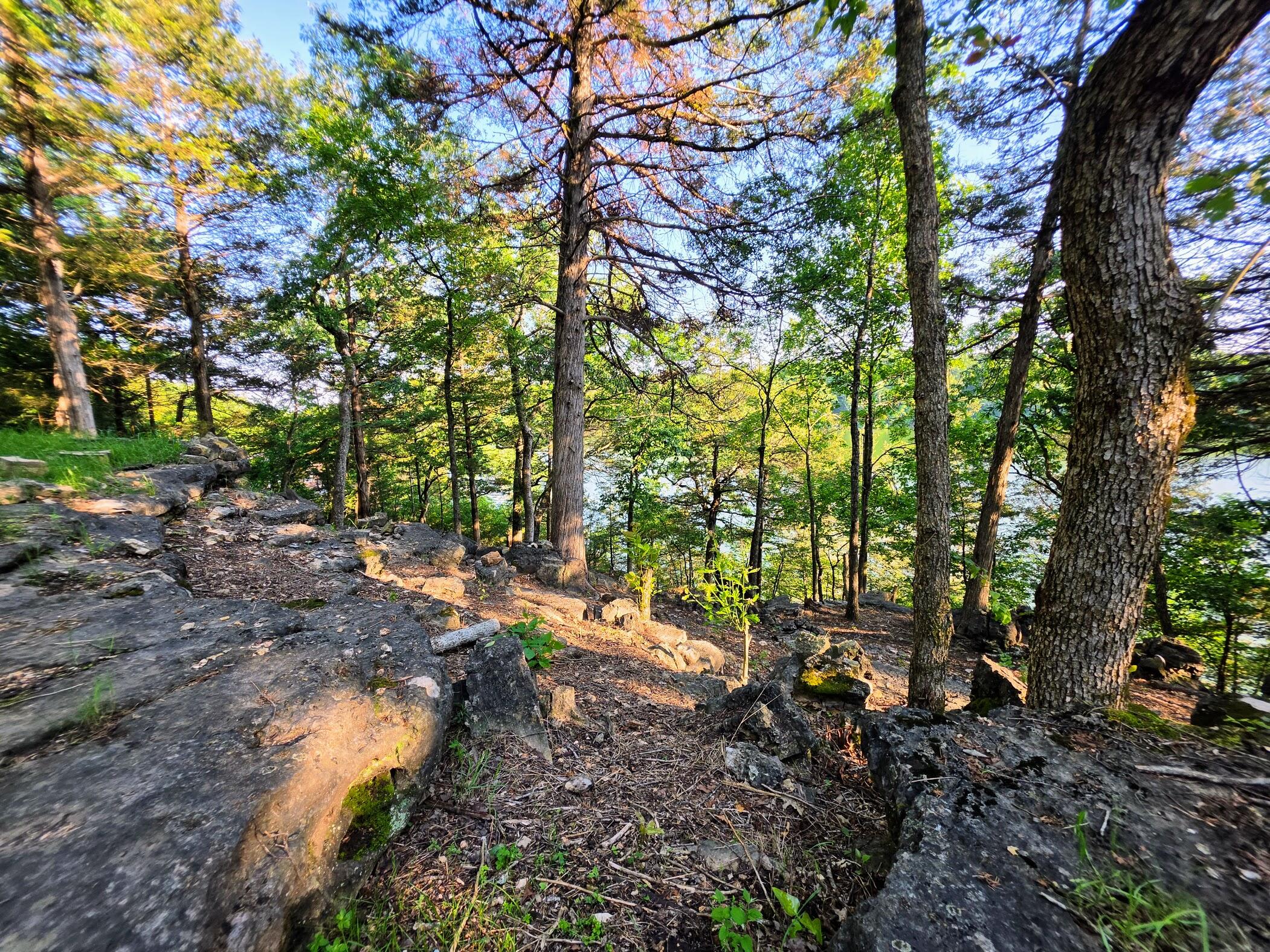 Photo 2 - Land for sale – 18679  Private Road 2261   Eagle Rock, MO
