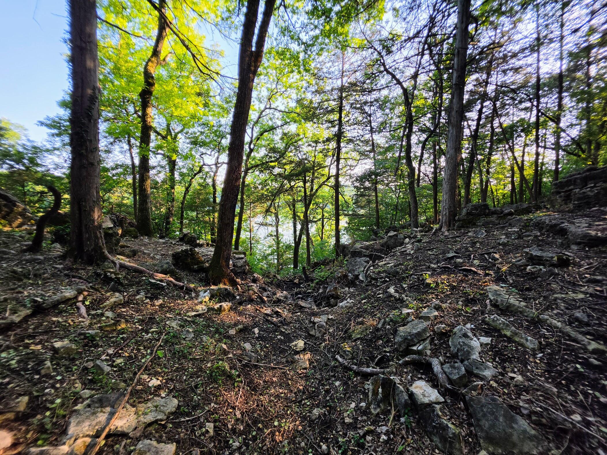 Photo 19 - Land for sale – 18679  Private Road 2261   Eagle Rock, MO