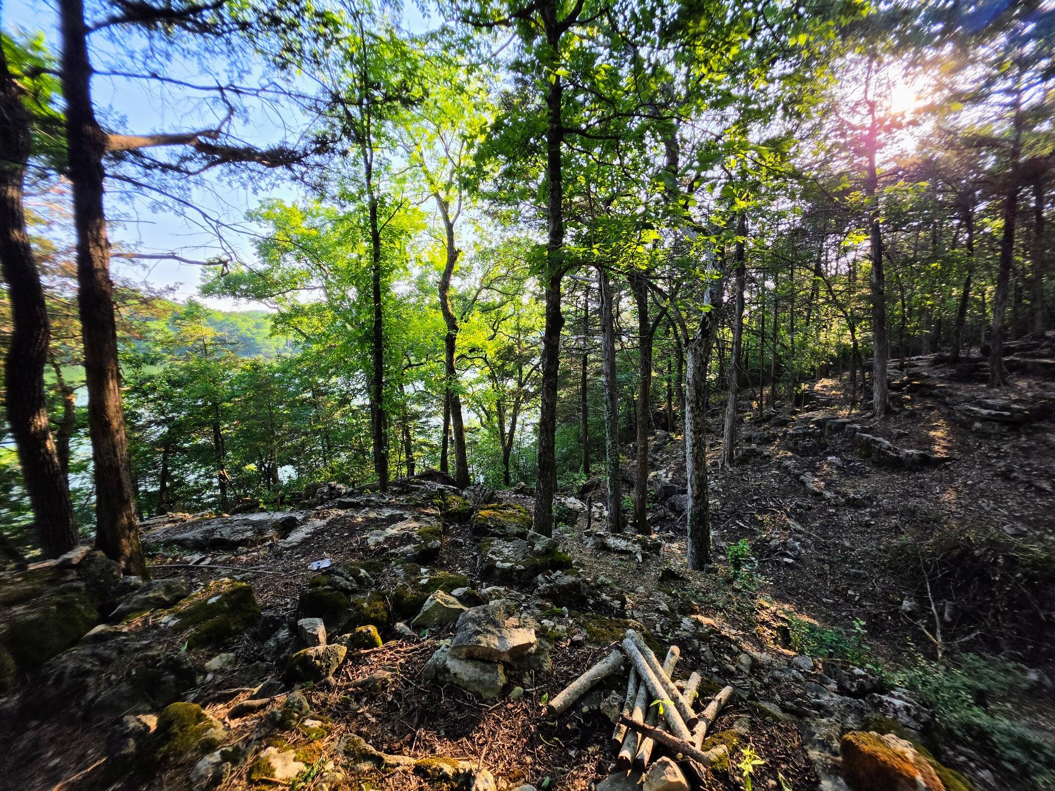 Photo 6 - Land for sale – 18679  Private Road 2261   Eagle Rock, MO