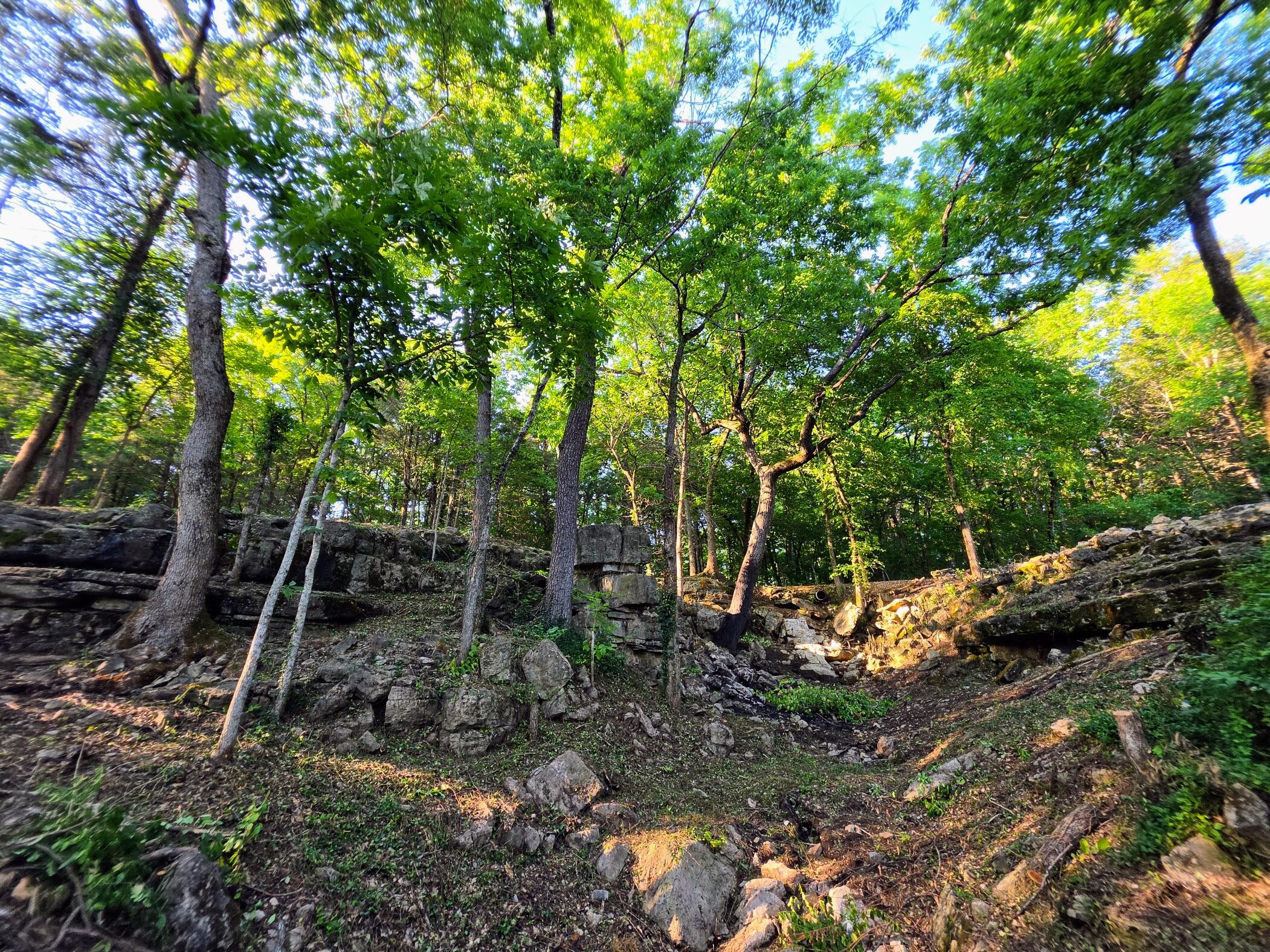 Photo 20 - Land for sale – 18679  Private Road 2261   Eagle Rock, MO