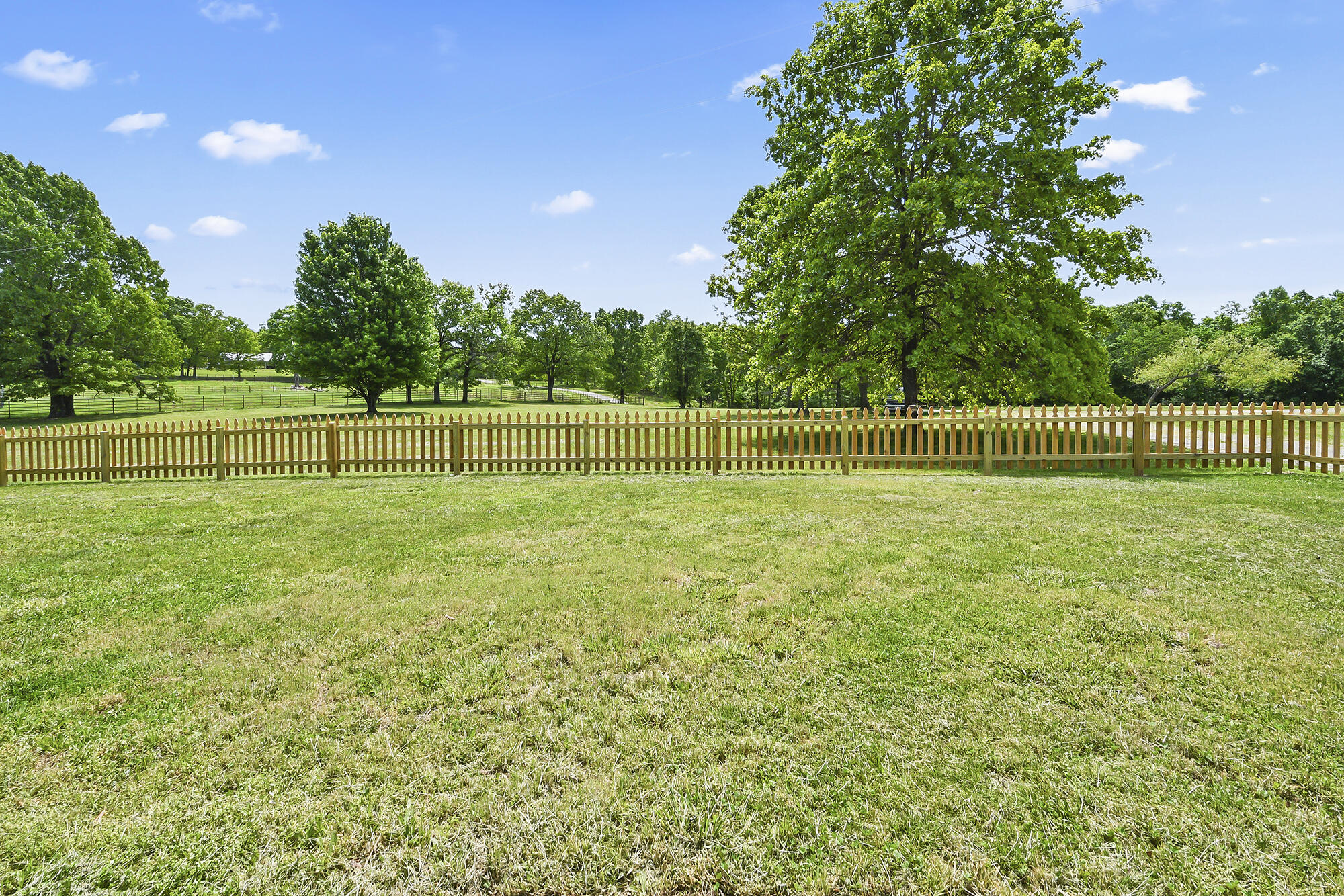 Photo 65 - Residential for sale – 1903a  State Highway Ac   Niangua, MO