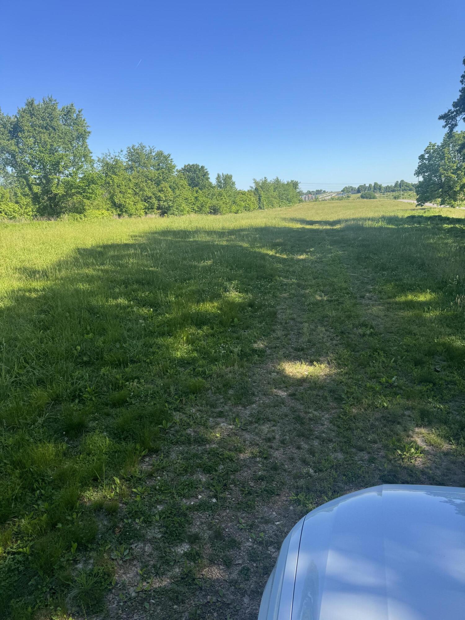 Photo 2 - Land for sale – 5849  Selmore Road  Ozark, MO