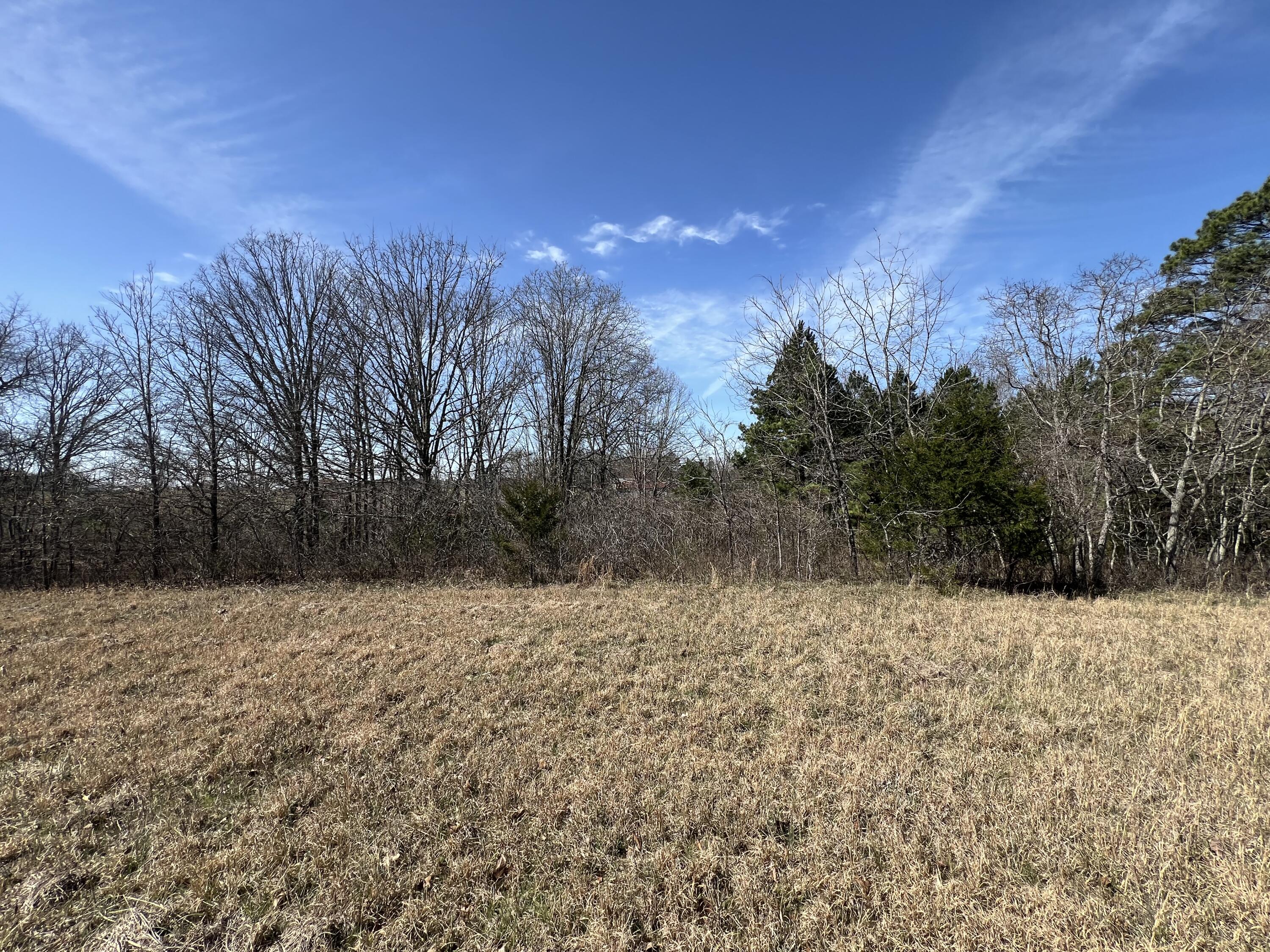 Photo 69 - Residential for sale – 23813  State Route Z   Summersville, MO