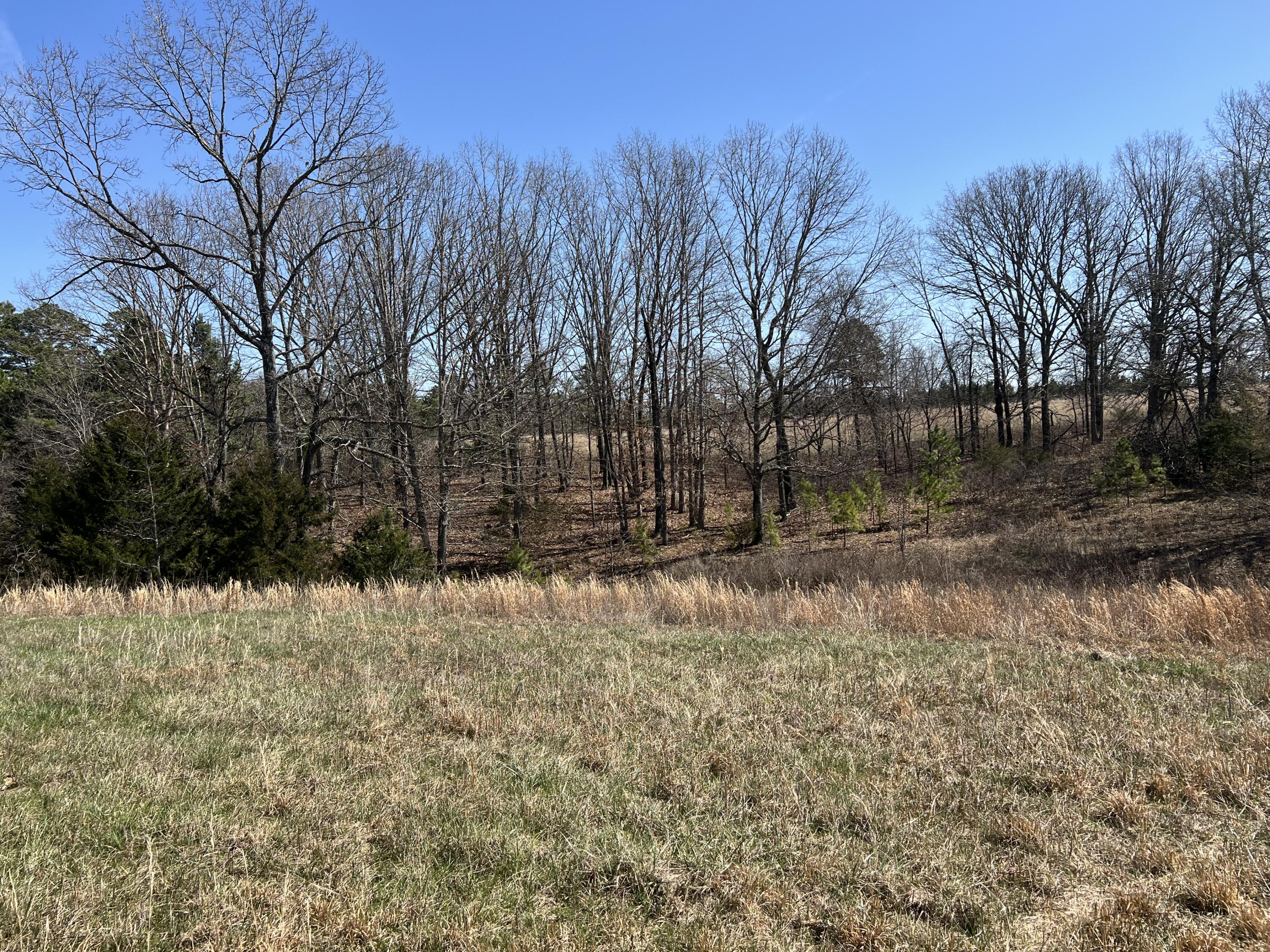 Photo 73 - Residential for sale – 23813  State Route Z   Summersville, MO