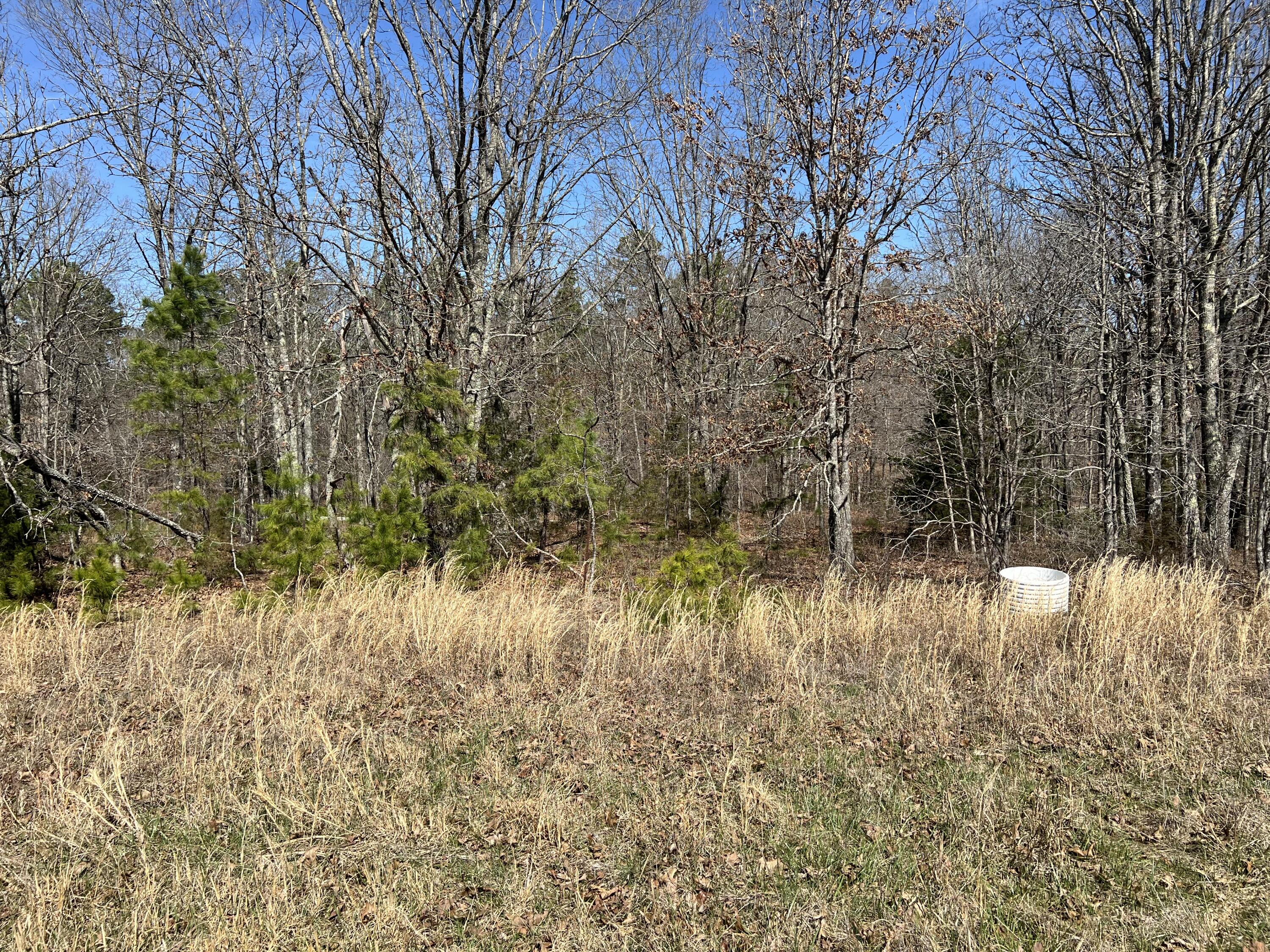 Photo 75 - Residential for sale – 23813  State Route Z   Summersville, MO