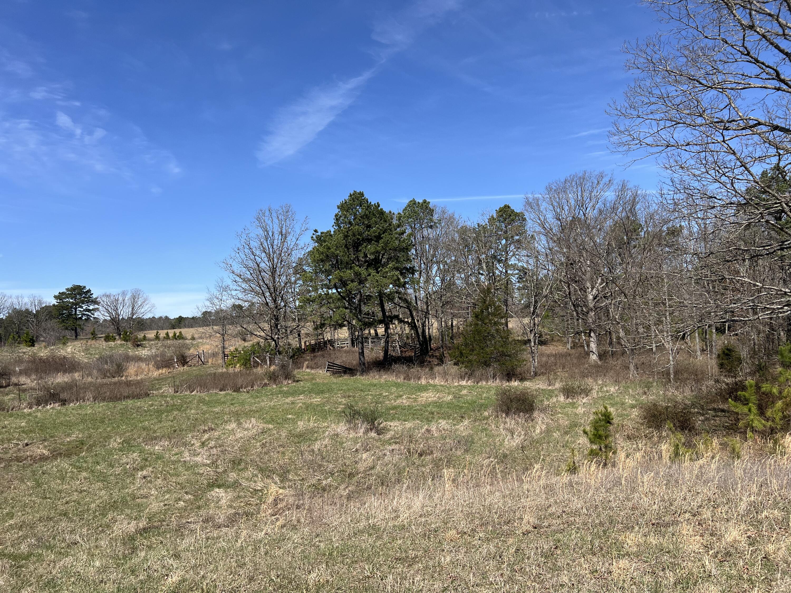 Photo 80 - Residential for sale – 23813  State Route Z   Summersville, MO