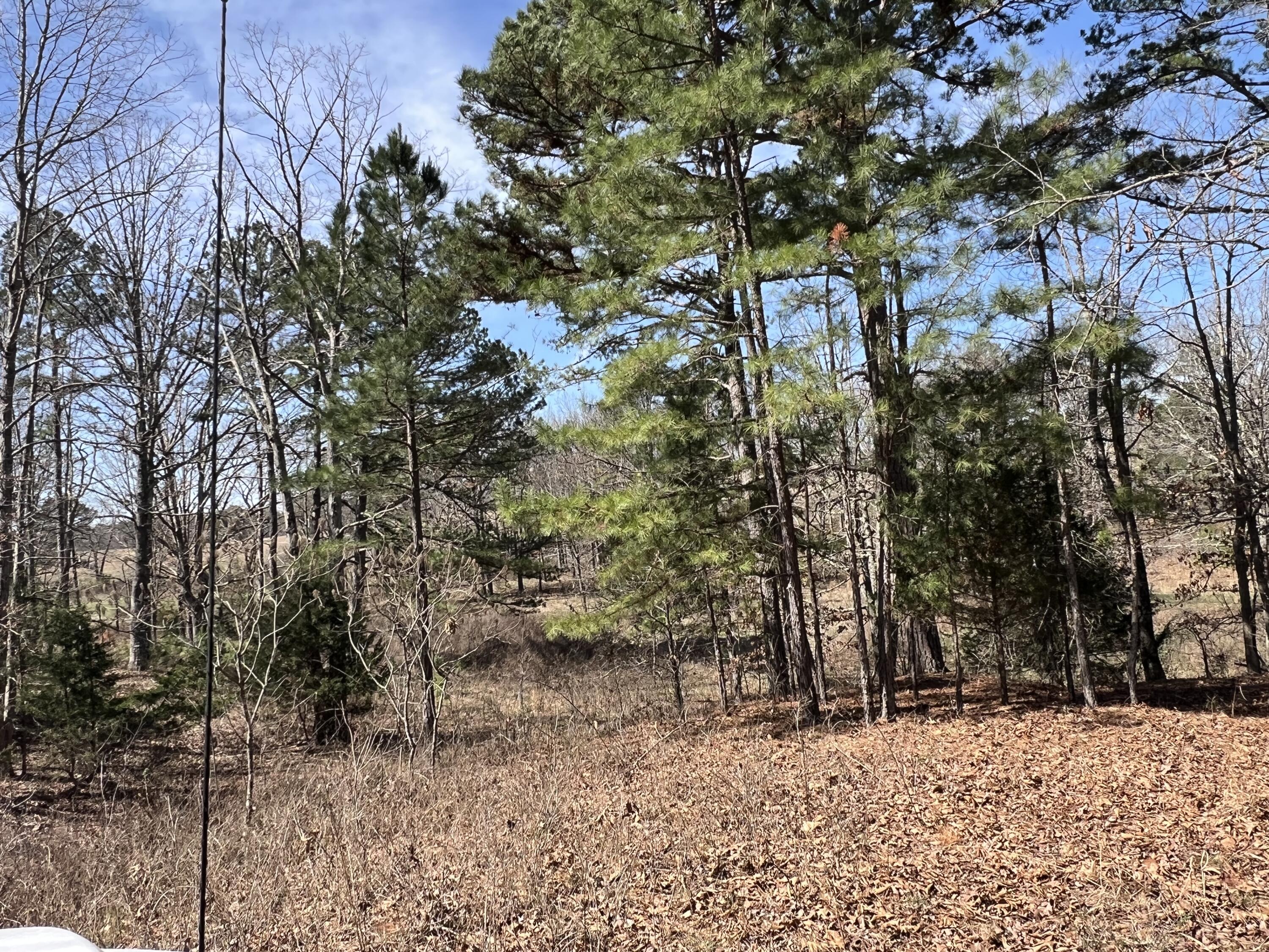 Photo 8 - Residential for sale – 23813  State Route Z   Summersville, MO