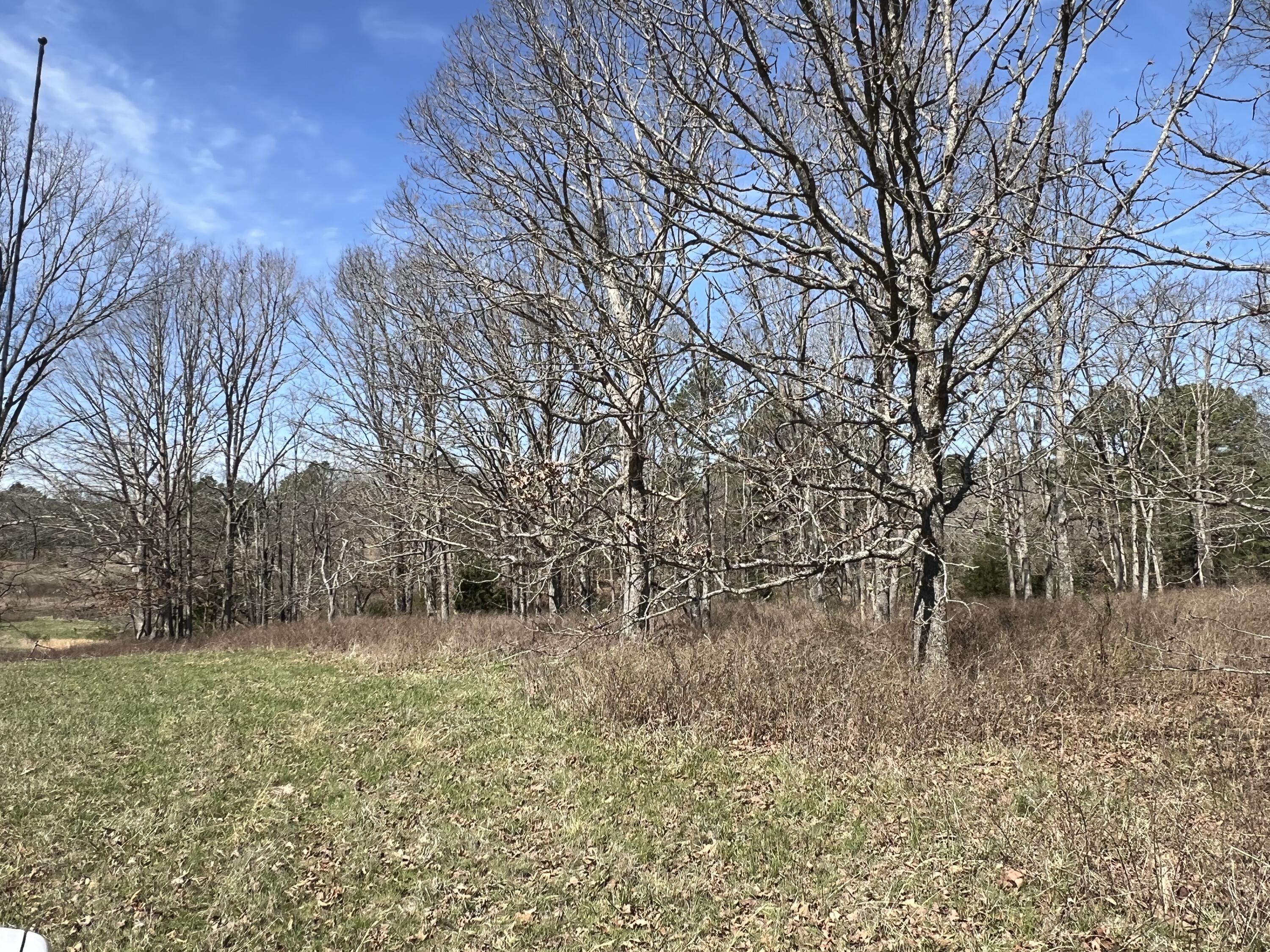 Photo 78 - Residential for sale – 23813  State Route Z   Summersville, MO