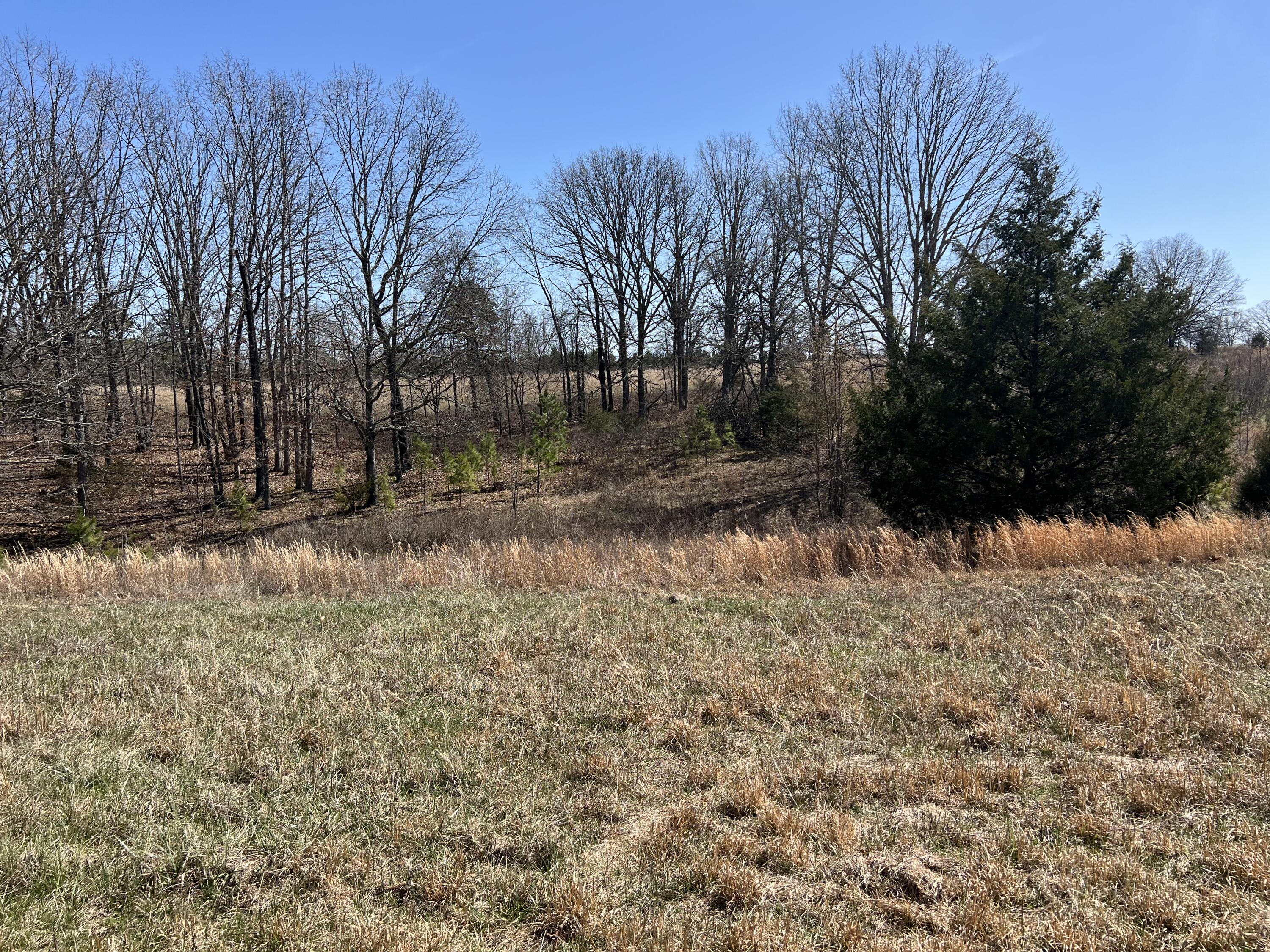 Photo 74 - Residential for sale – 23813  State Route Z   Summersville, MO