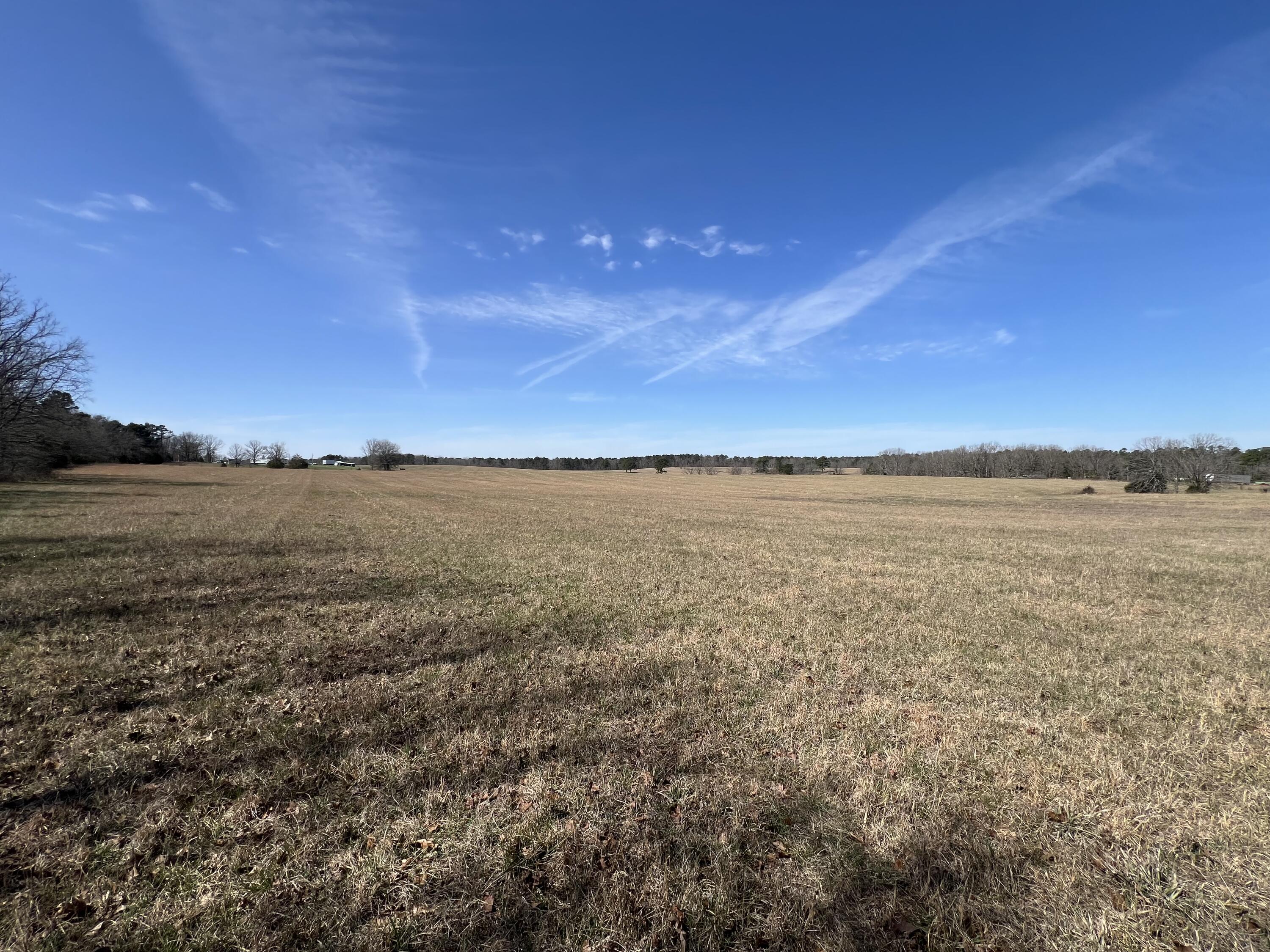 Photo 68 - Residential for sale – 23813  State Route Z   Summersville, MO
