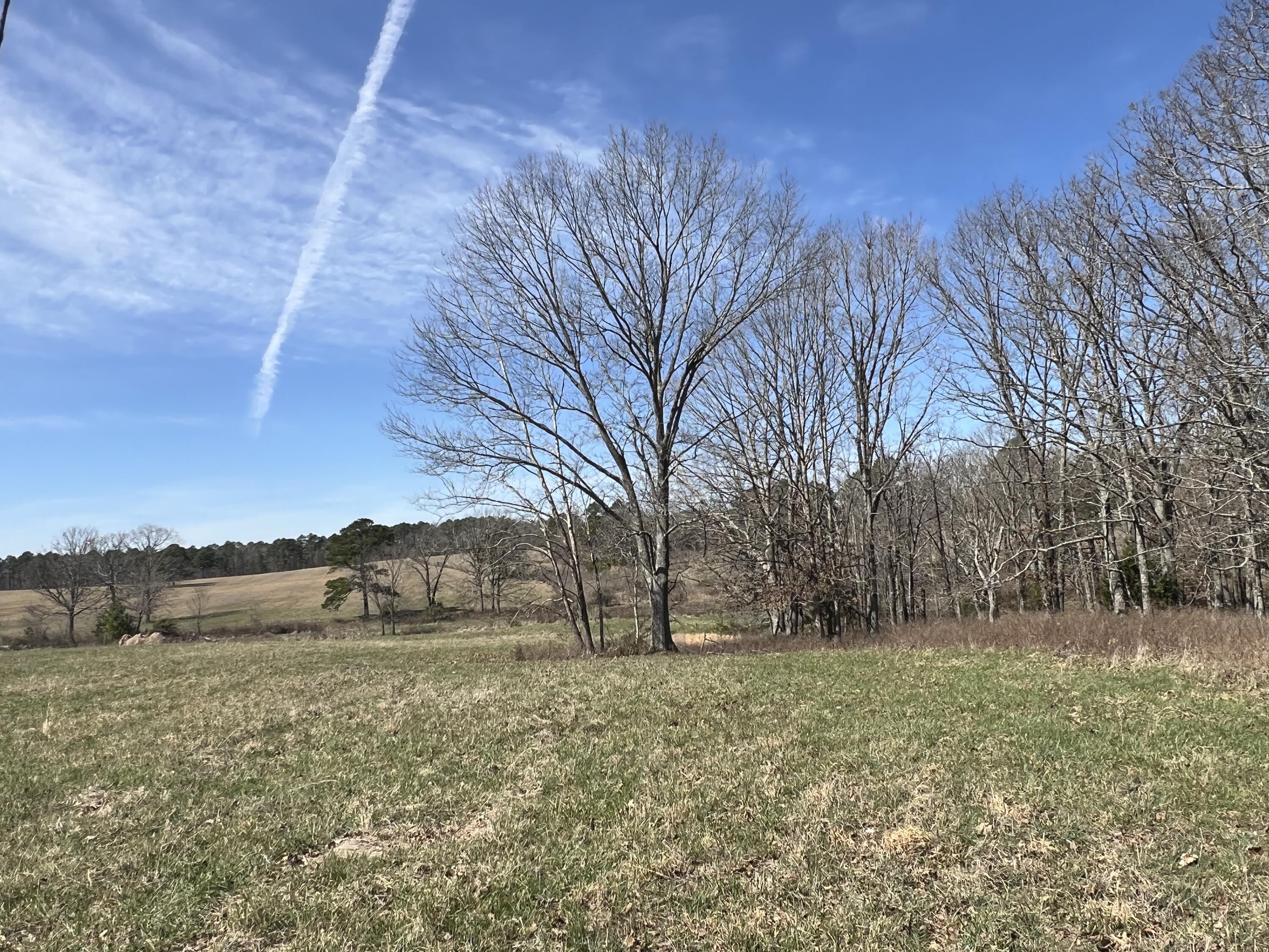 Photo 79 - Residential for sale – 23813  State Route Z   Summersville, MO
