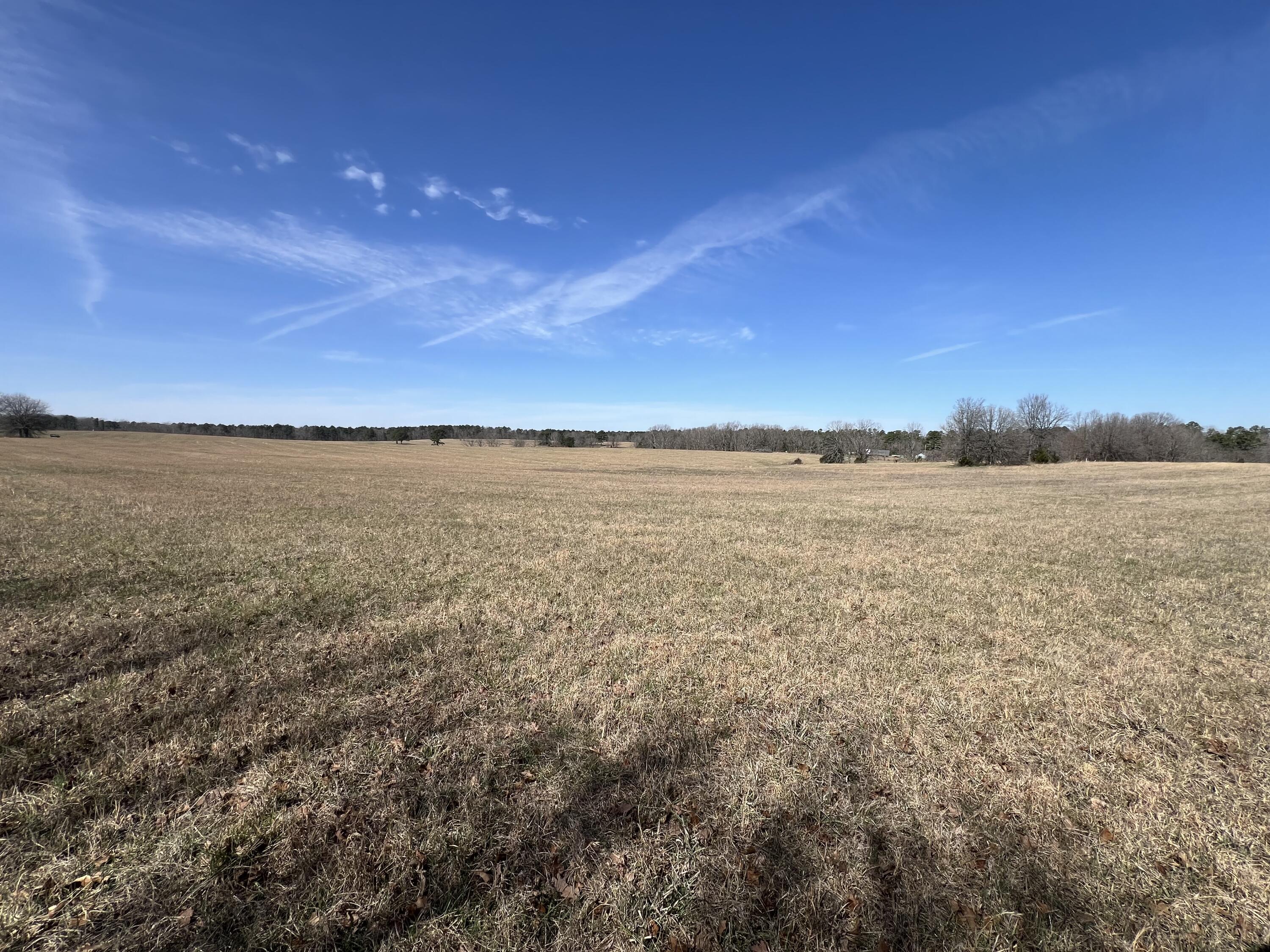 Photo 66 - Residential for sale – 23813  State Route Z   Summersville, MO