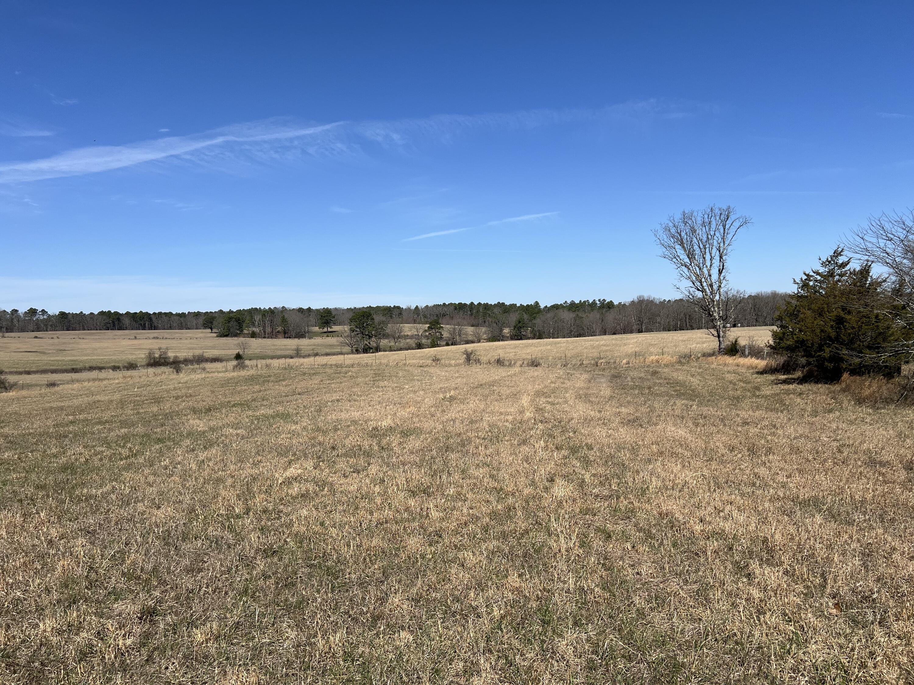 Photo 62 - Residential for sale – 23813  State Route Z   Summersville, MO