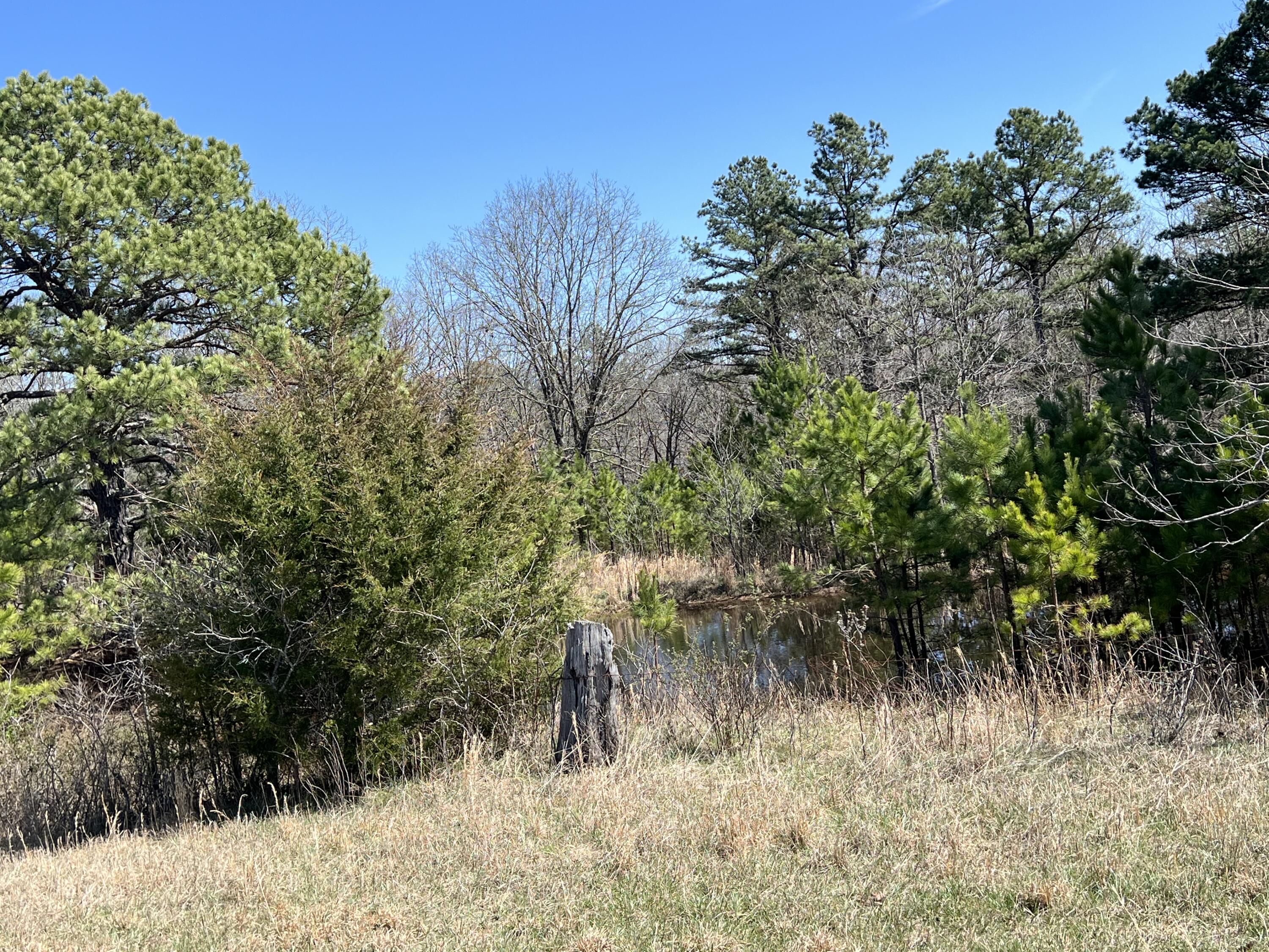 Photo 82 - Residential for sale – 23813  State Route Z   Summersville, MO