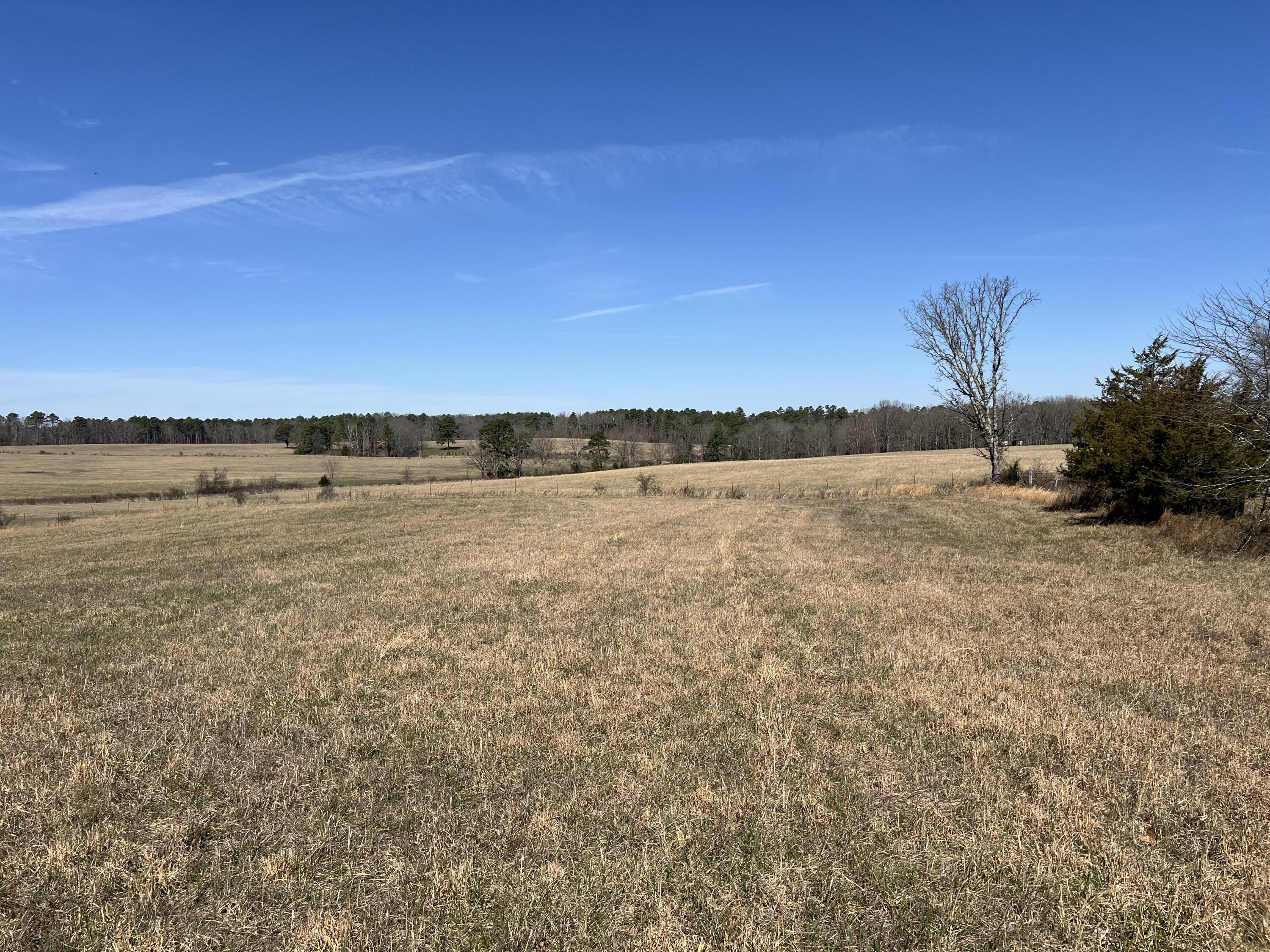 Photo 63 - Residential for sale – 23813  State Route Z   Summersville, MO