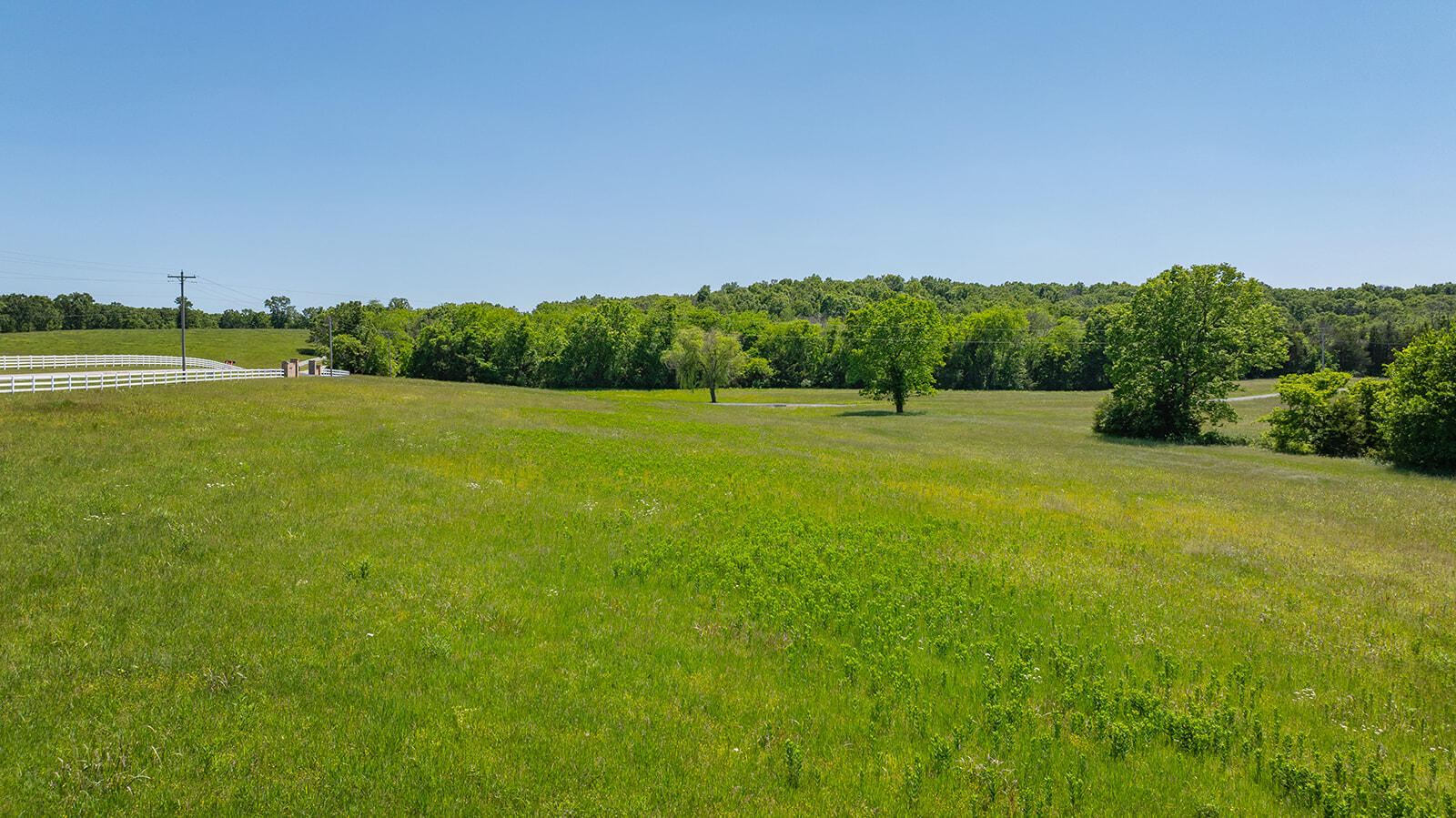 Photo 72 - Farm for sale – 11755 N Farm Road 177   Fair Grove, MO