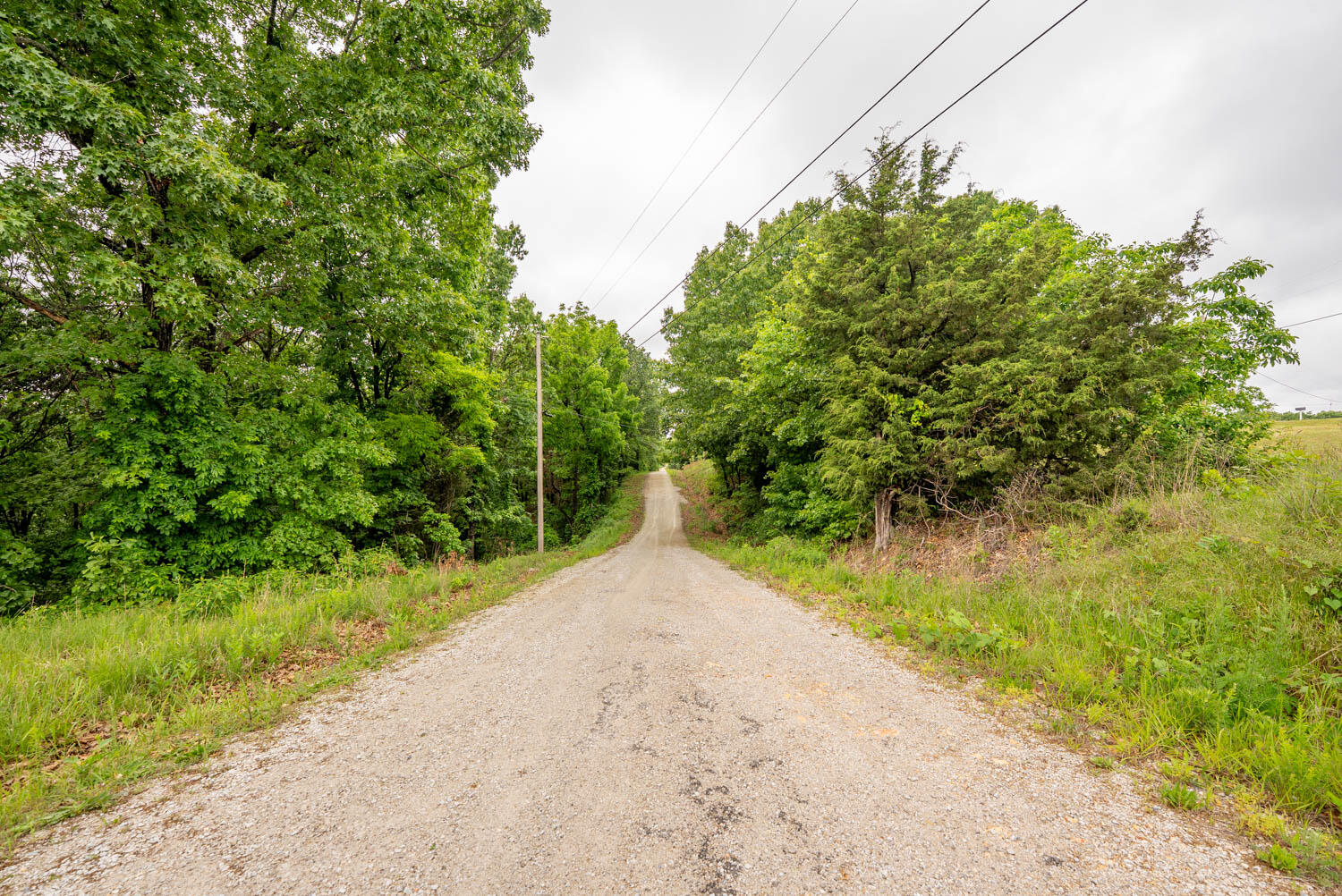 Photo 17 - Land for sale – Tbd  Devils Pool Rd   Ridgedale, MO
