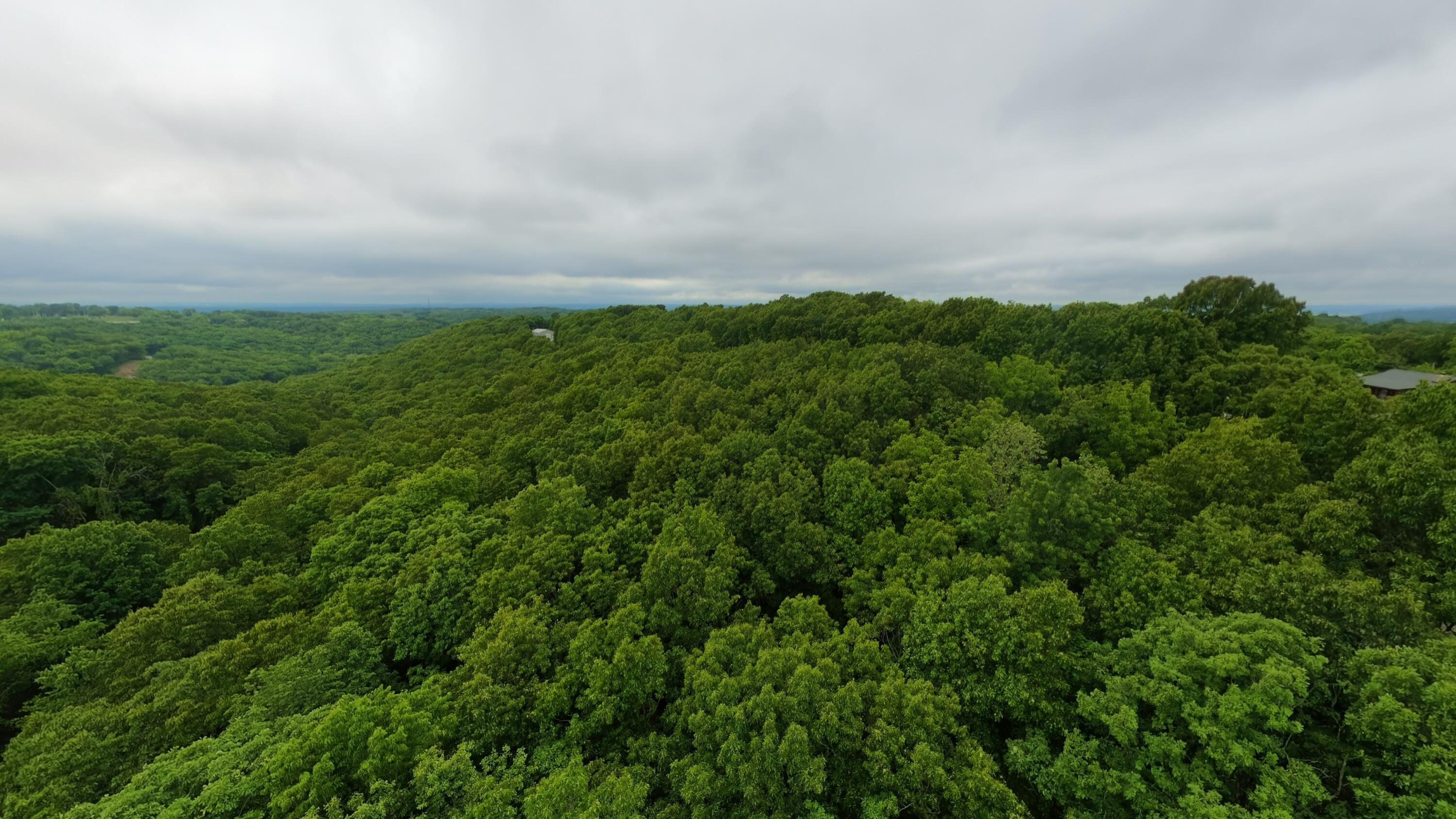Photo 5 - Land for sale – Tbd  Devils Pool Rd   Ridgedale, MO