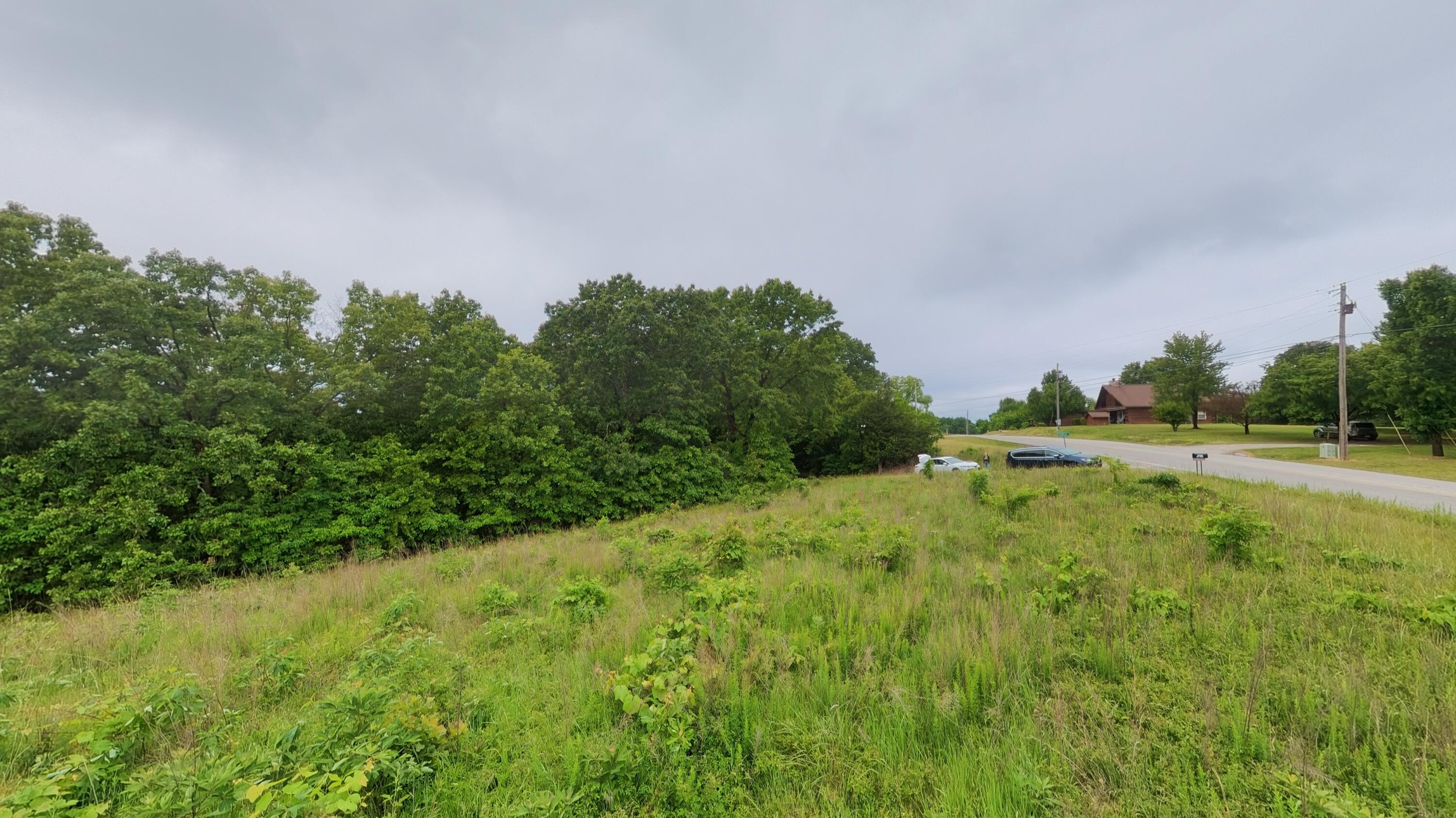 Photo 9 - Land for sale – Tbd  Devils Pool Rd   Ridgedale, MO