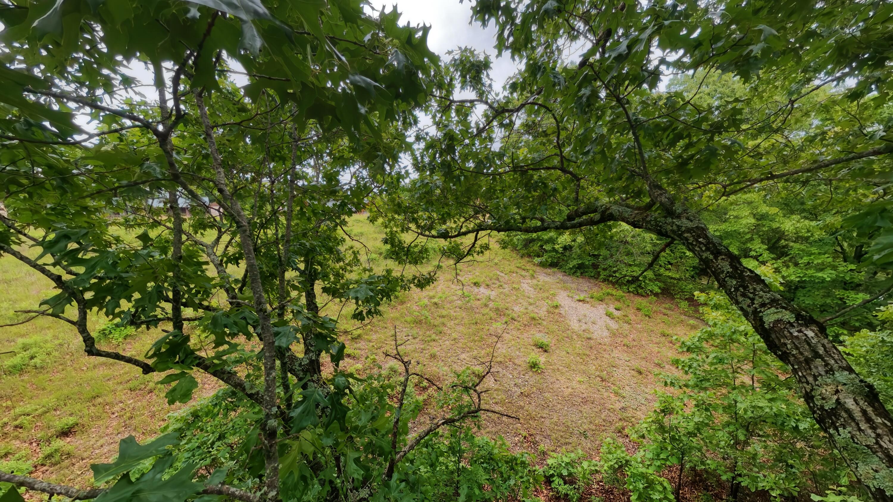 Photo 12 - Land for sale – Tbd  Devils Pool Rd   Ridgedale, MO