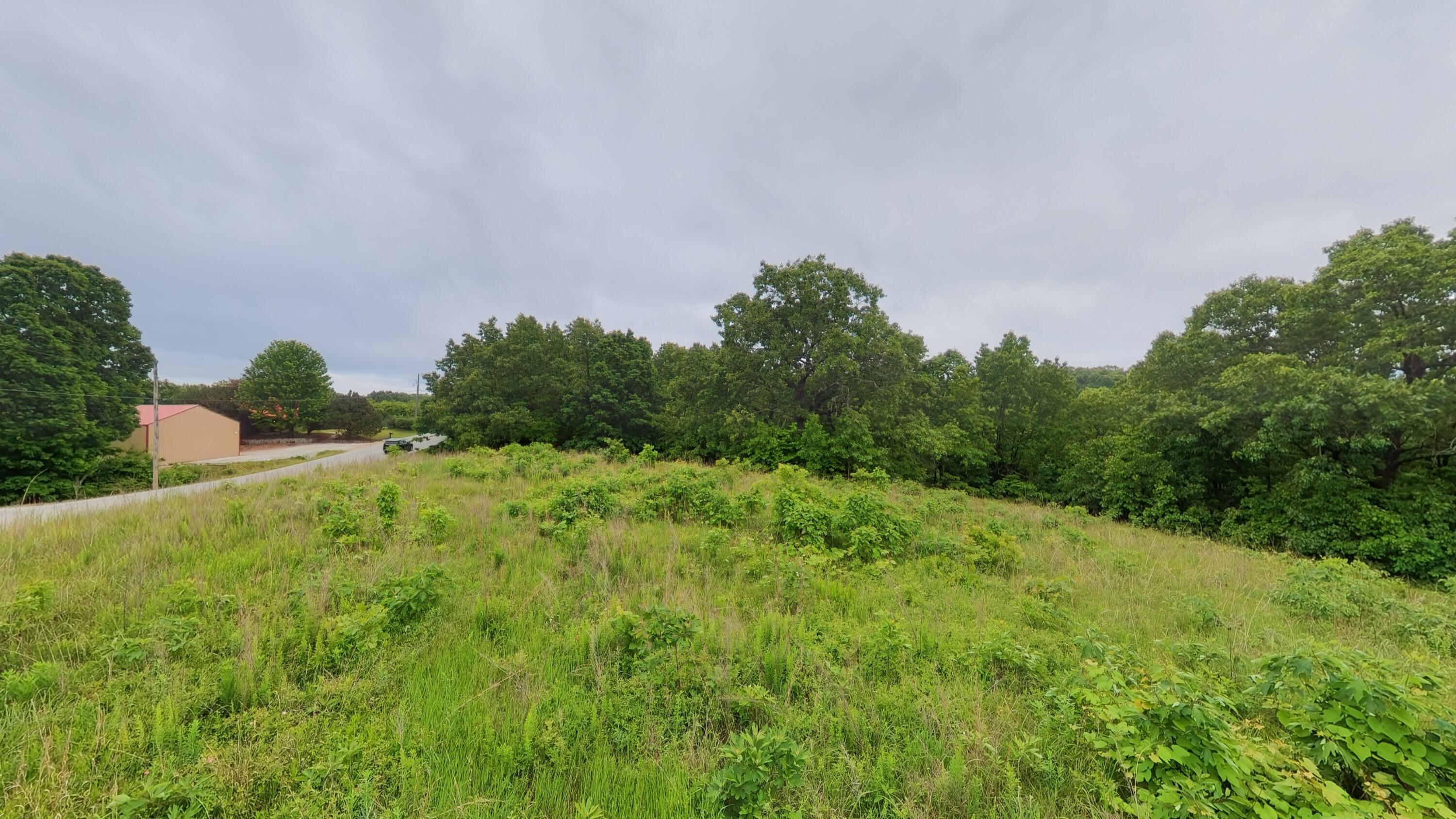 Photo 8 - Land for sale – Tbd  Devils Pool Rd   Ridgedale, MO