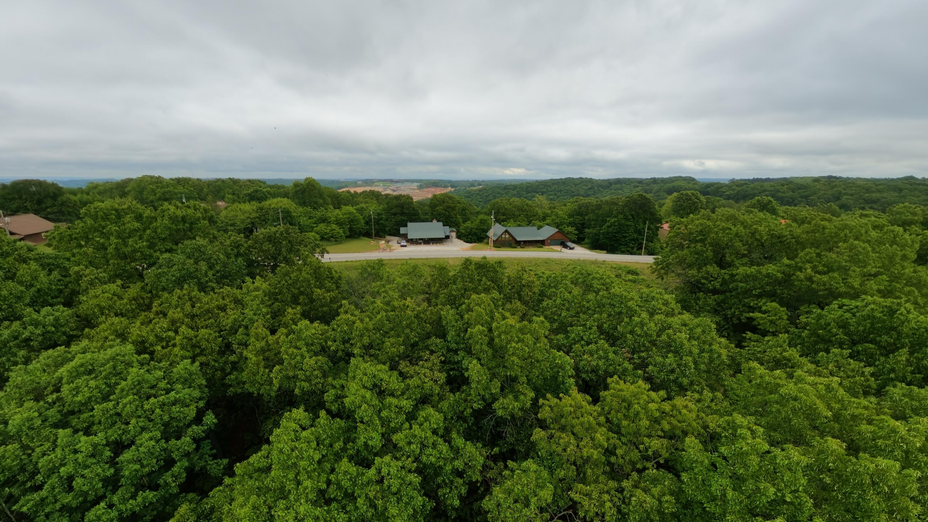 Photo 4 - Land for sale – Tbd  Devils Pool Rd   Ridgedale, MO