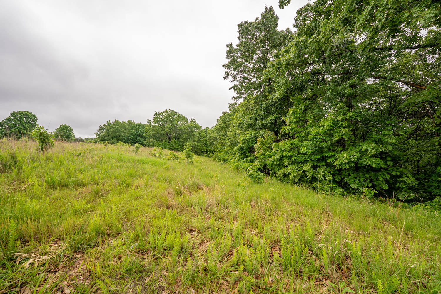 Photo 19 - Land for sale – Tbd  Devils Pool Rd   Ridgedale, MO