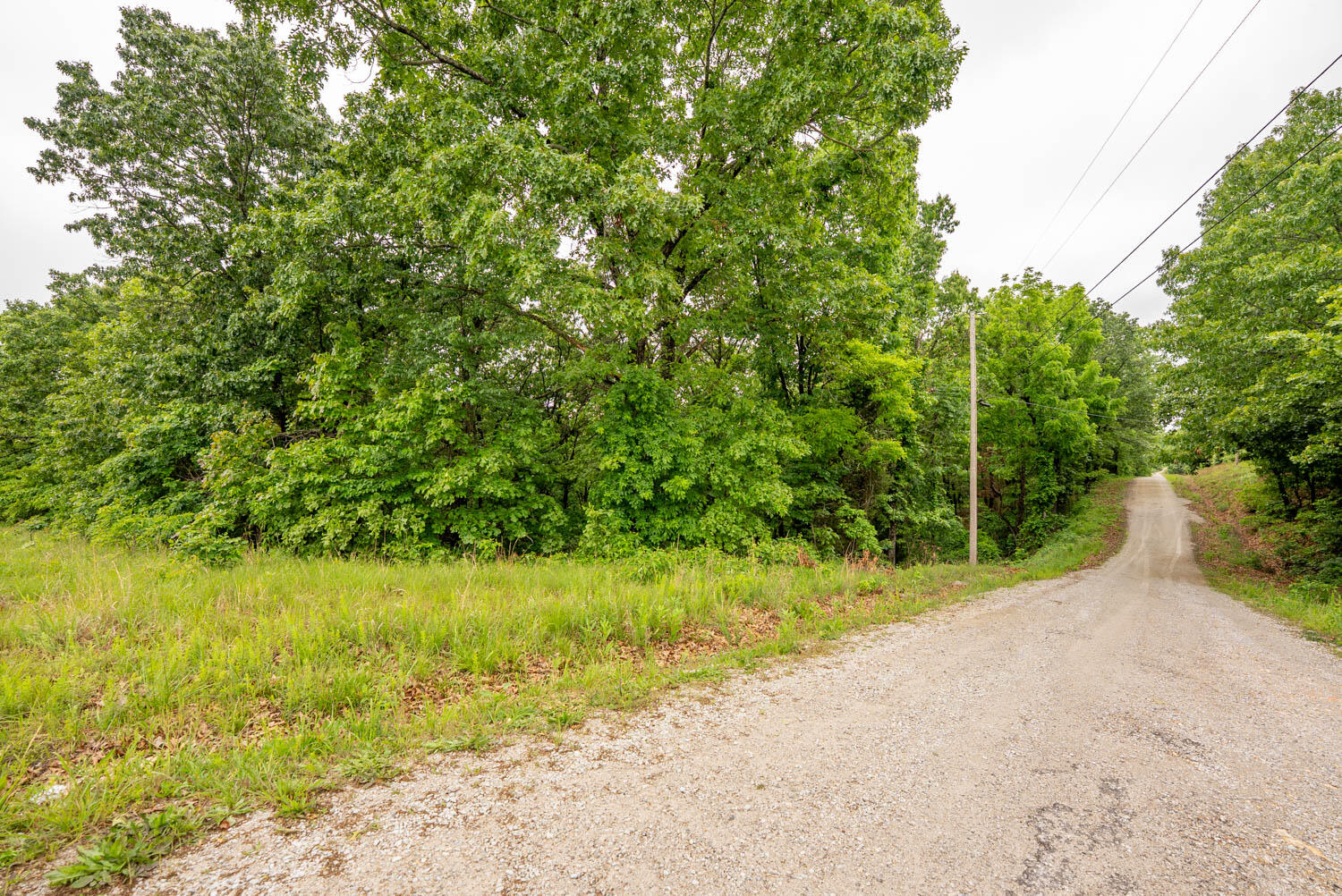 Photo 18 - Land for sale – Tbd  Devils Pool Rd   Ridgedale, MO