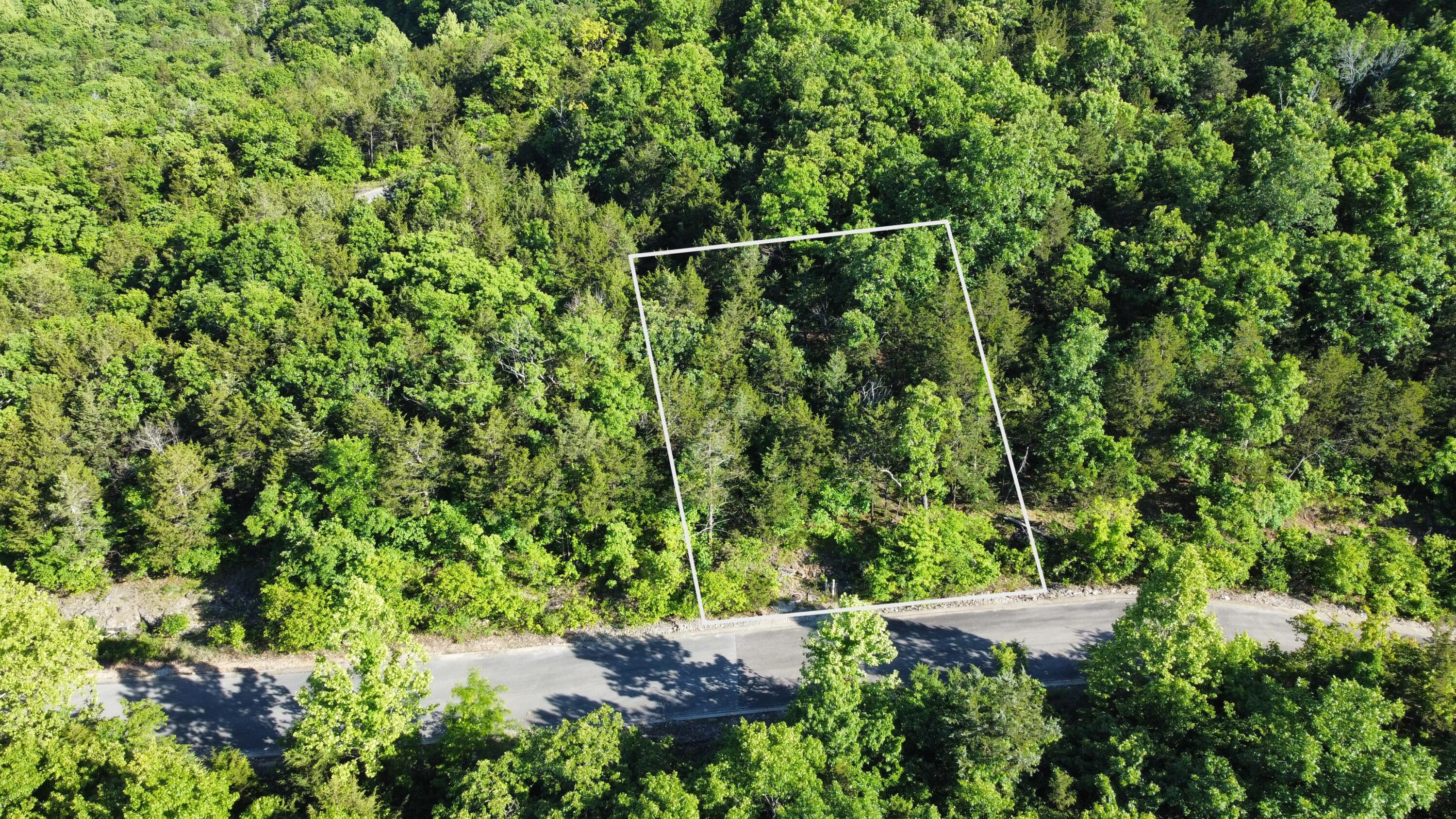 Photo 3 - Land for sale – 000  Syler Circle Lot 233 Circle  Hollister, MO