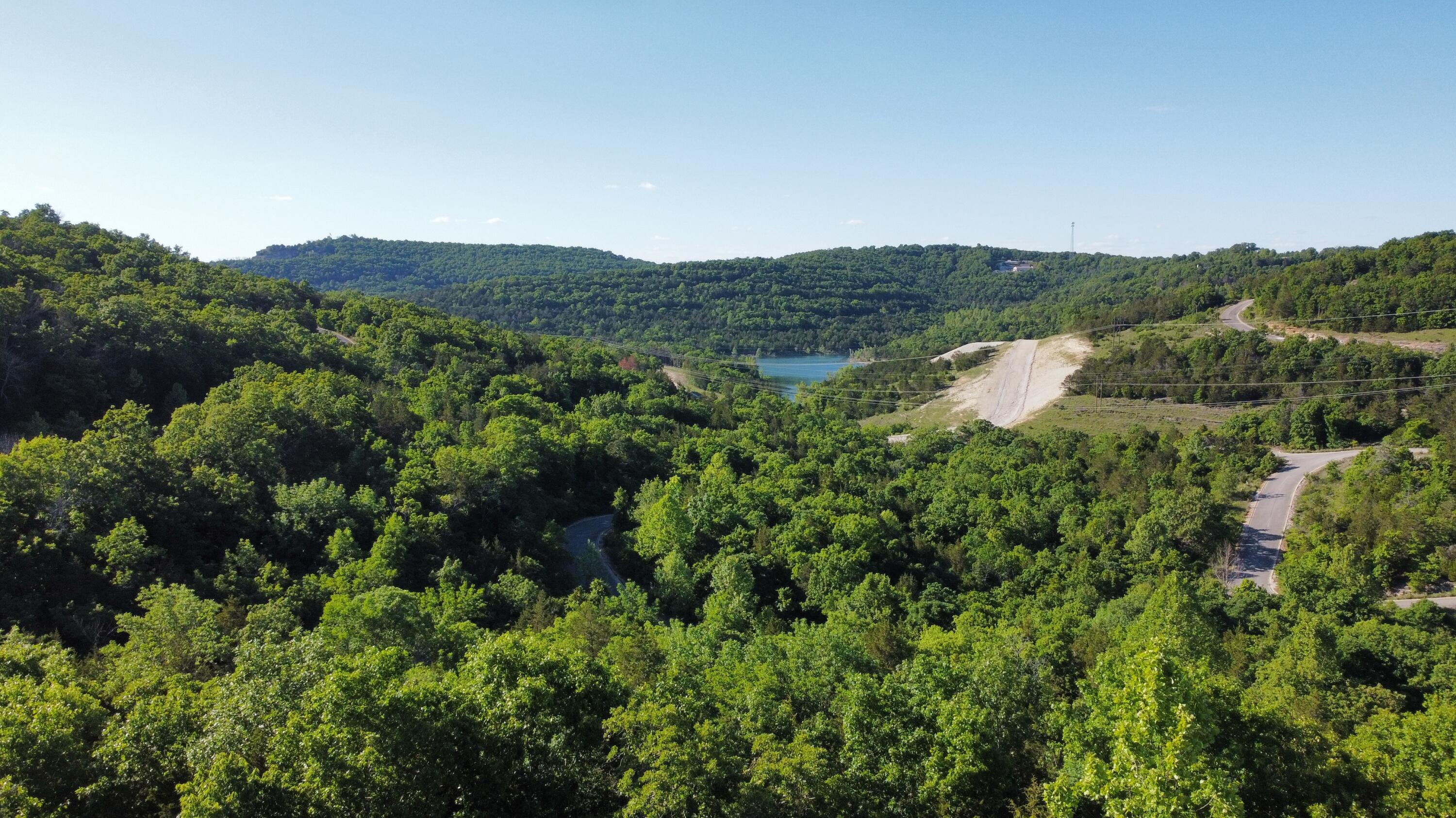 Photo 4 - Land for sale – 000  Syler Circle Lot 233 Circle  Hollister, MO