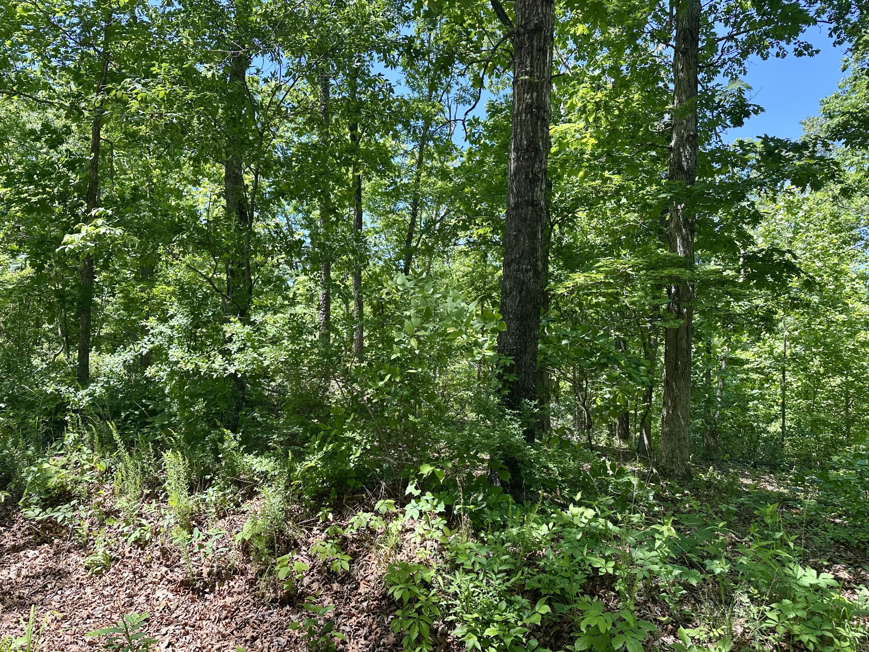 Land for sale – 000  Bass Rock Lot 3 Drive  Van Buren, MO
