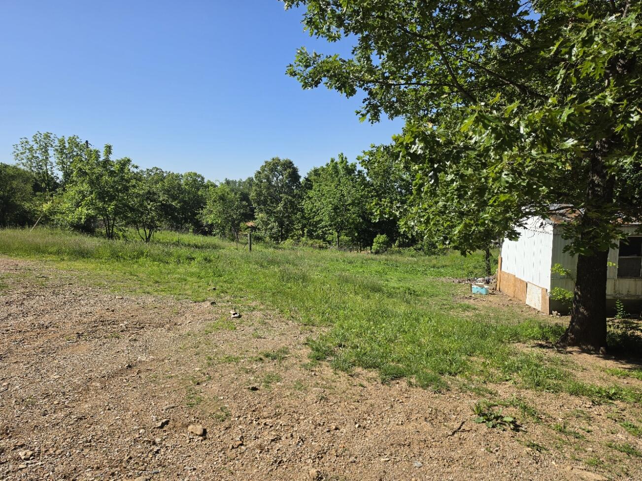 Photo 3 - Land for sale – 11  Private Road Aa-84   Alton, MO