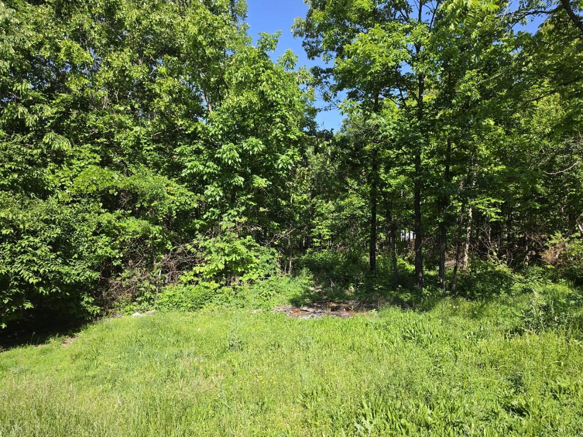 Photo 2 - Land for sale – 11  Private Road Aa-84   Alton, MO