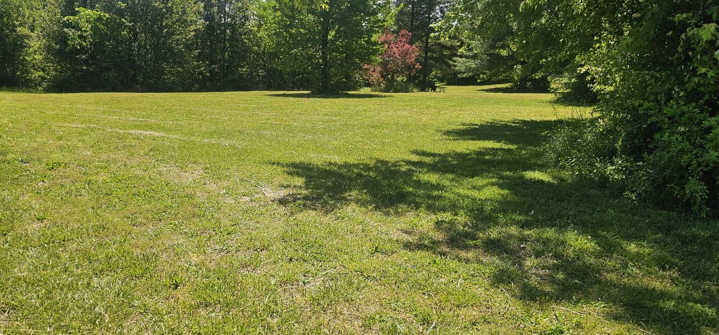 Photo 6 - Residential for sale – 1266  Private Road 1060   West Plains, MO
