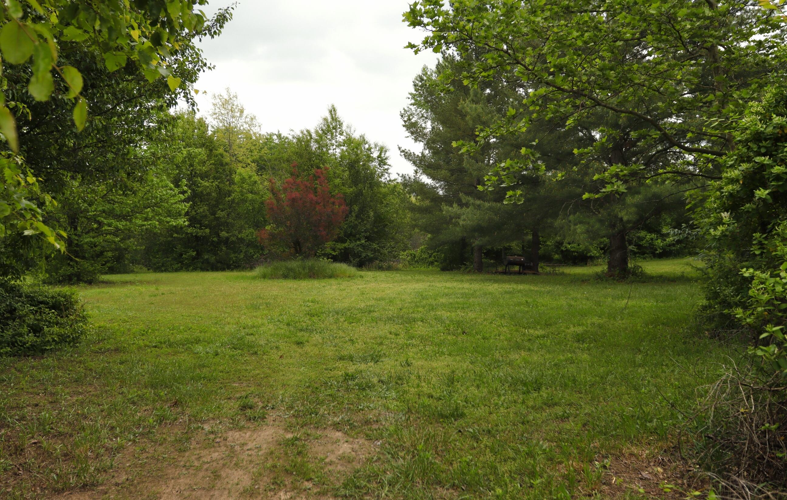 Photo 7 - Residential for sale – 1266  Private Road 1060   West Plains, MO