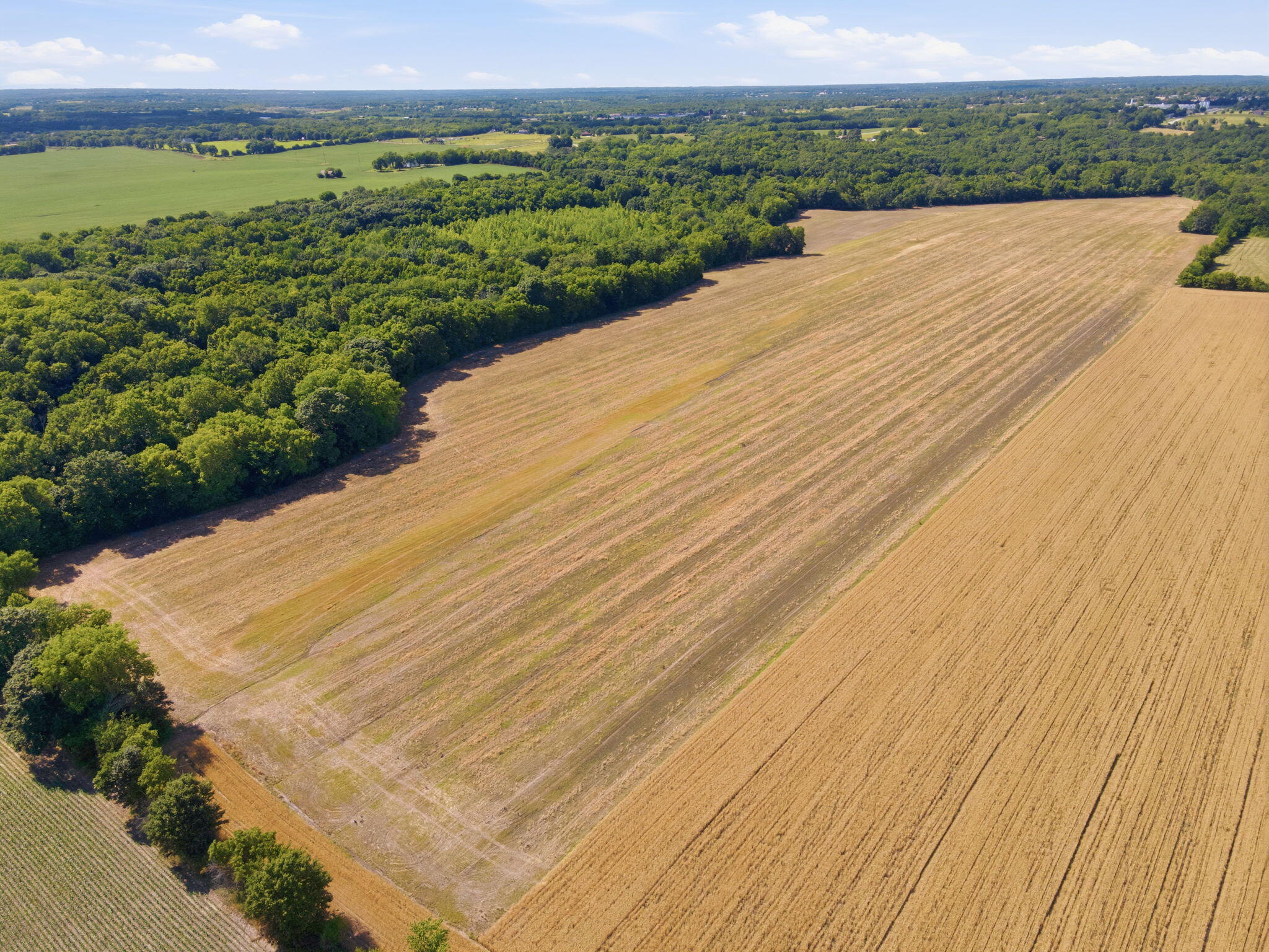 Photo 7 - Land for sale – 000  State   Excelsior Springs, MO