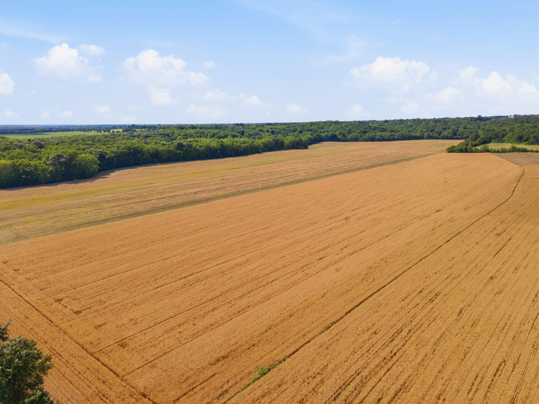 Photo 8 - Land for sale – 000  State   Excelsior Springs, MO