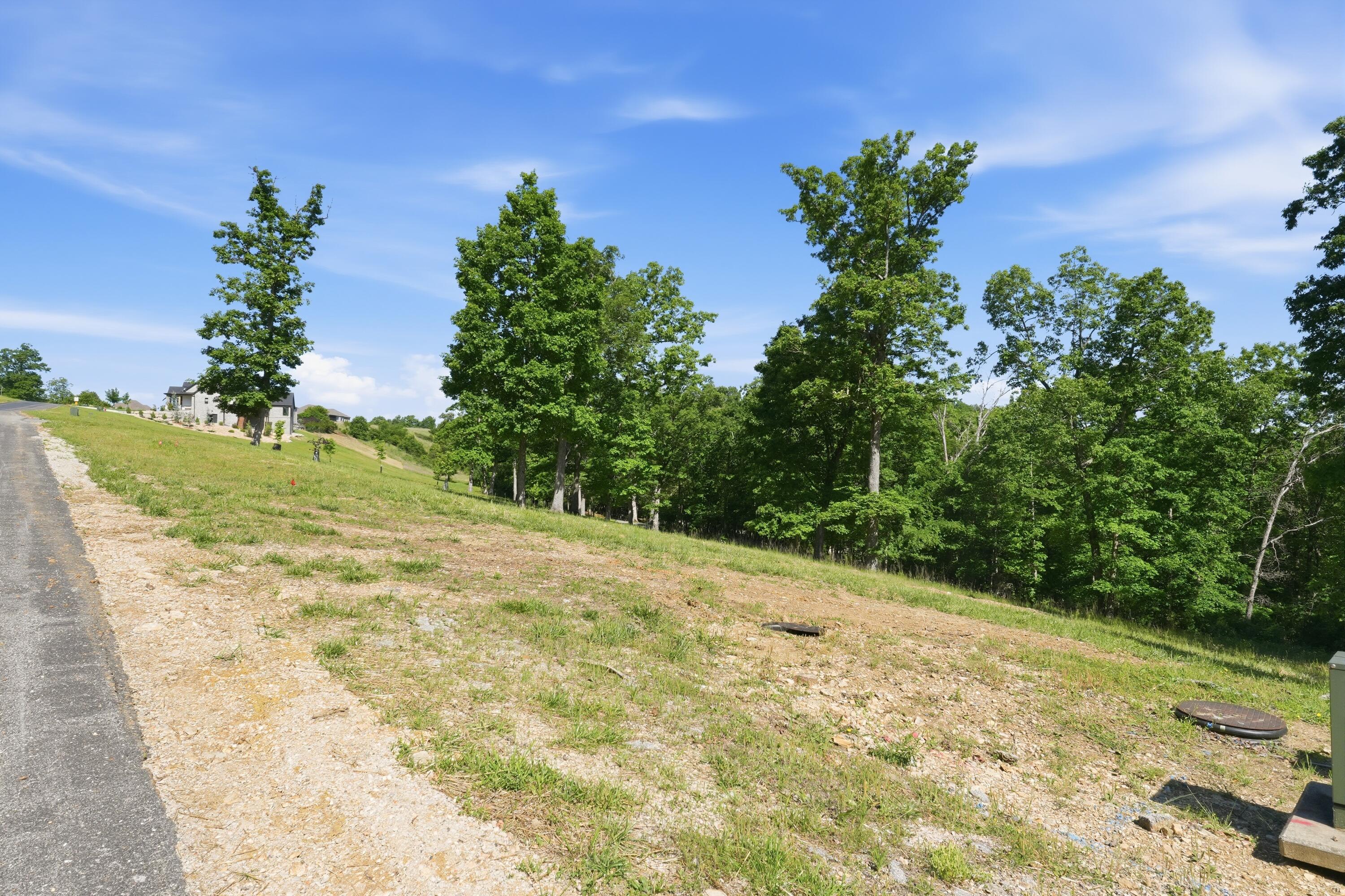 Photo 4 - Land for sale – 115a,117  Valley Drive  Saddlebrooke, MO